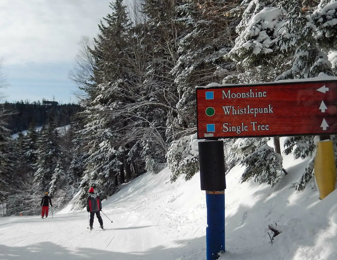 1 Br Plus Loft: Whistlepunk 36