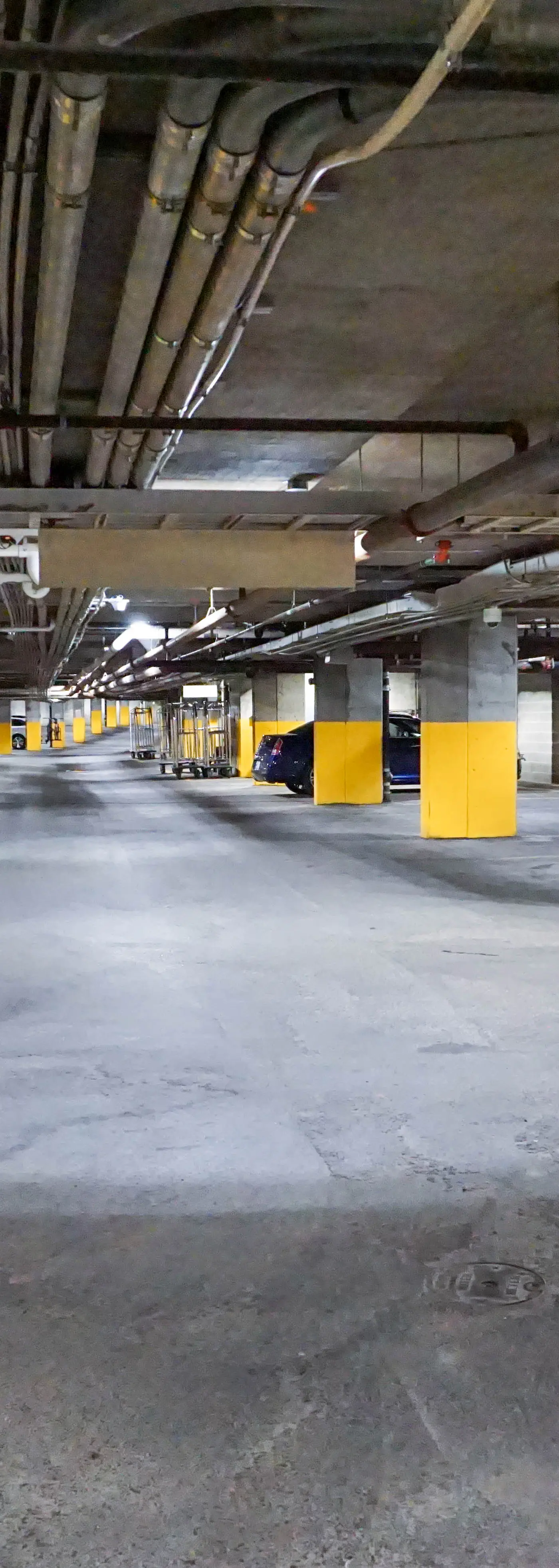 1 Br Junior Studio: Rimfire 258