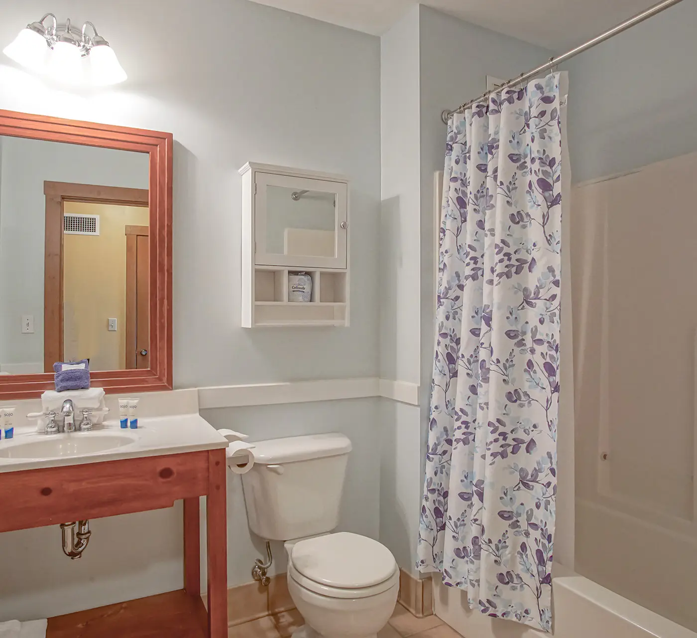 2 Br Plus Den: Allegheny Springs 140