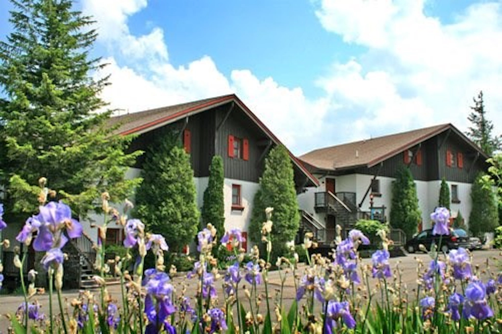 1 Br Plus Loft: Whistlepunk 40