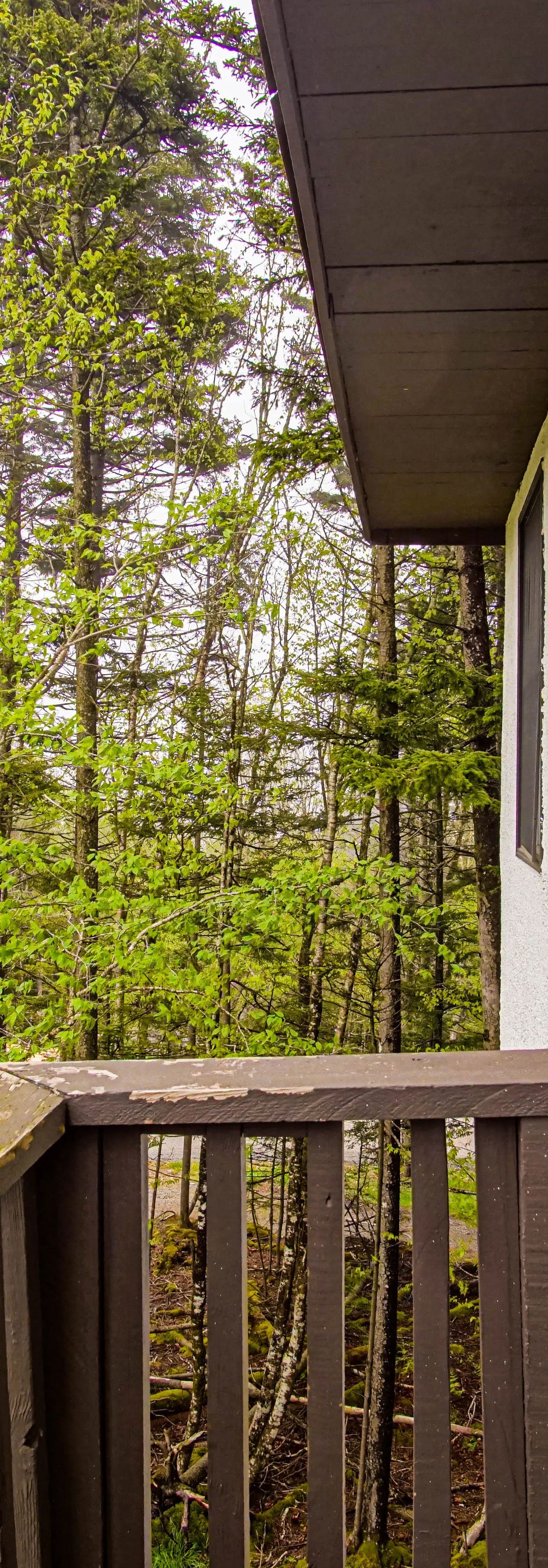 1 Br Plus Loft: Whistlepunk 40
