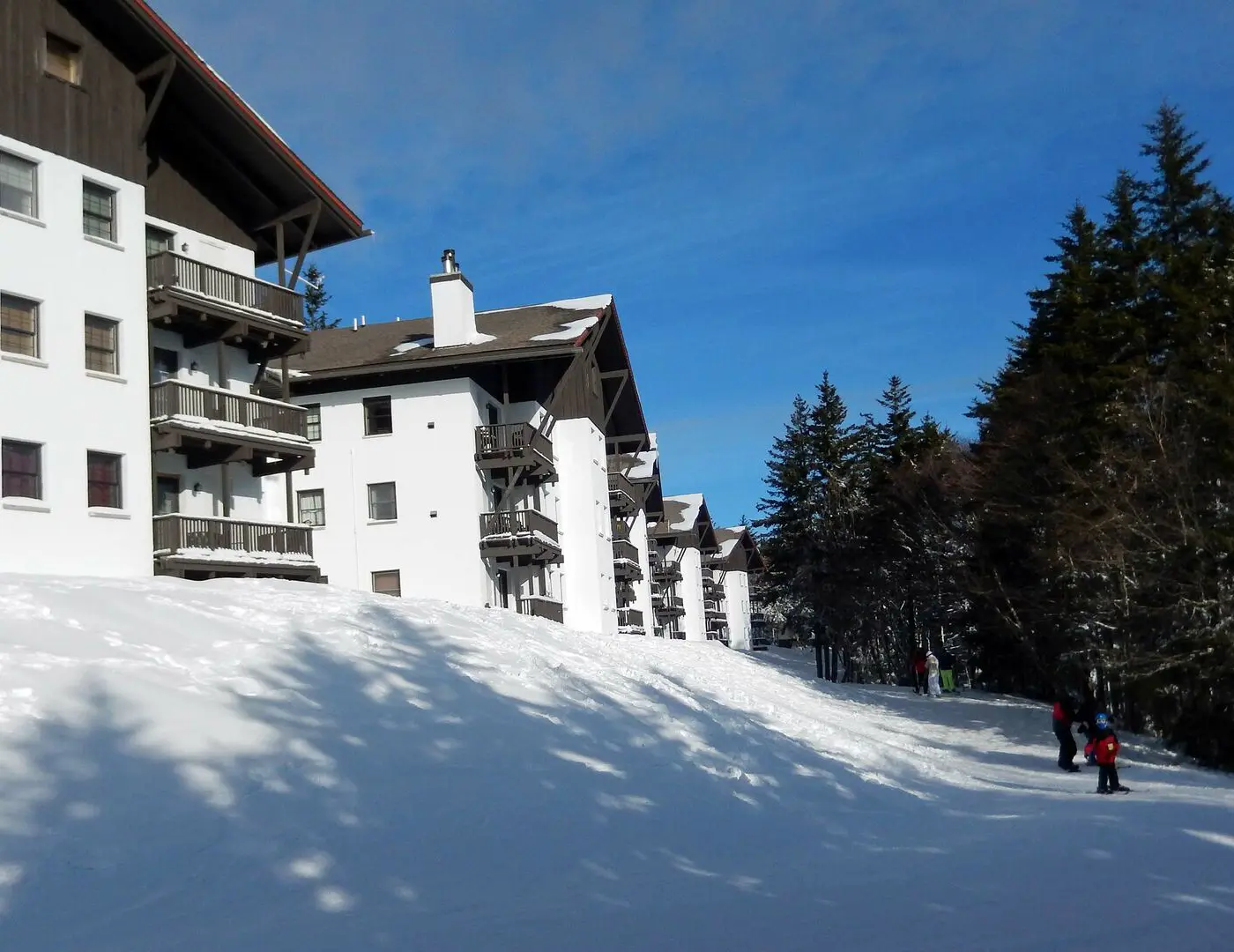 1 Br Plus Loft: Whistlepunk 40