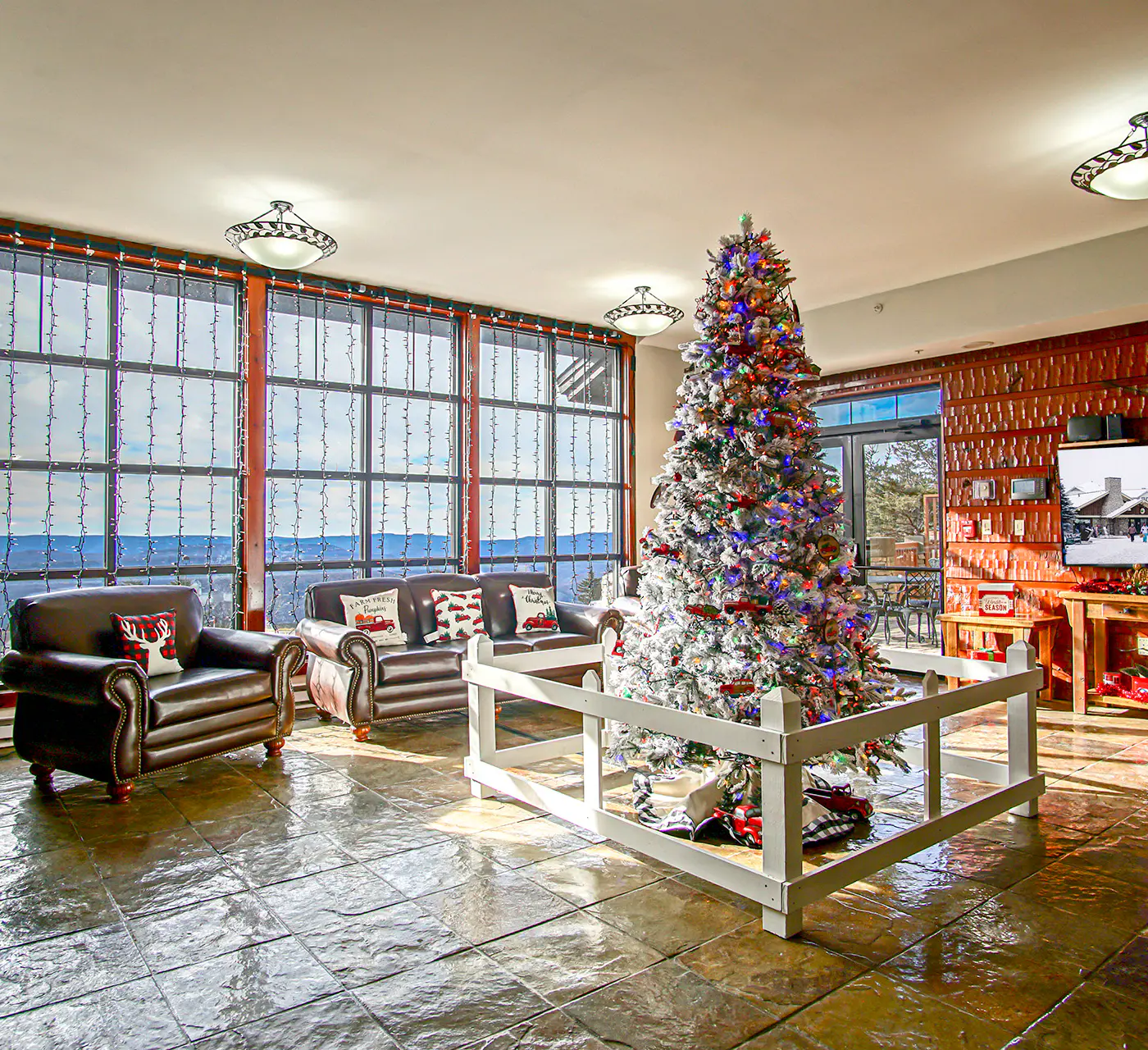 1 Br Studio: Rimfire 162