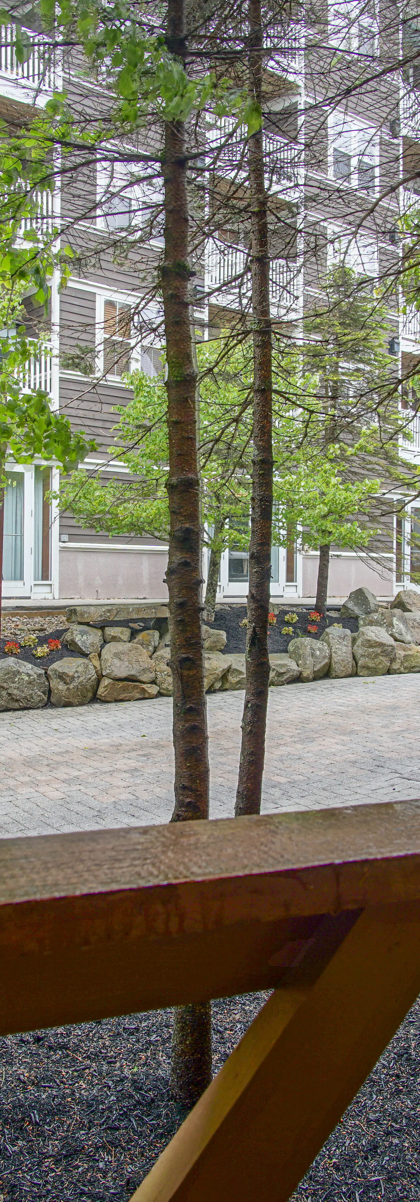 1 Br Studio: Rimfire 162