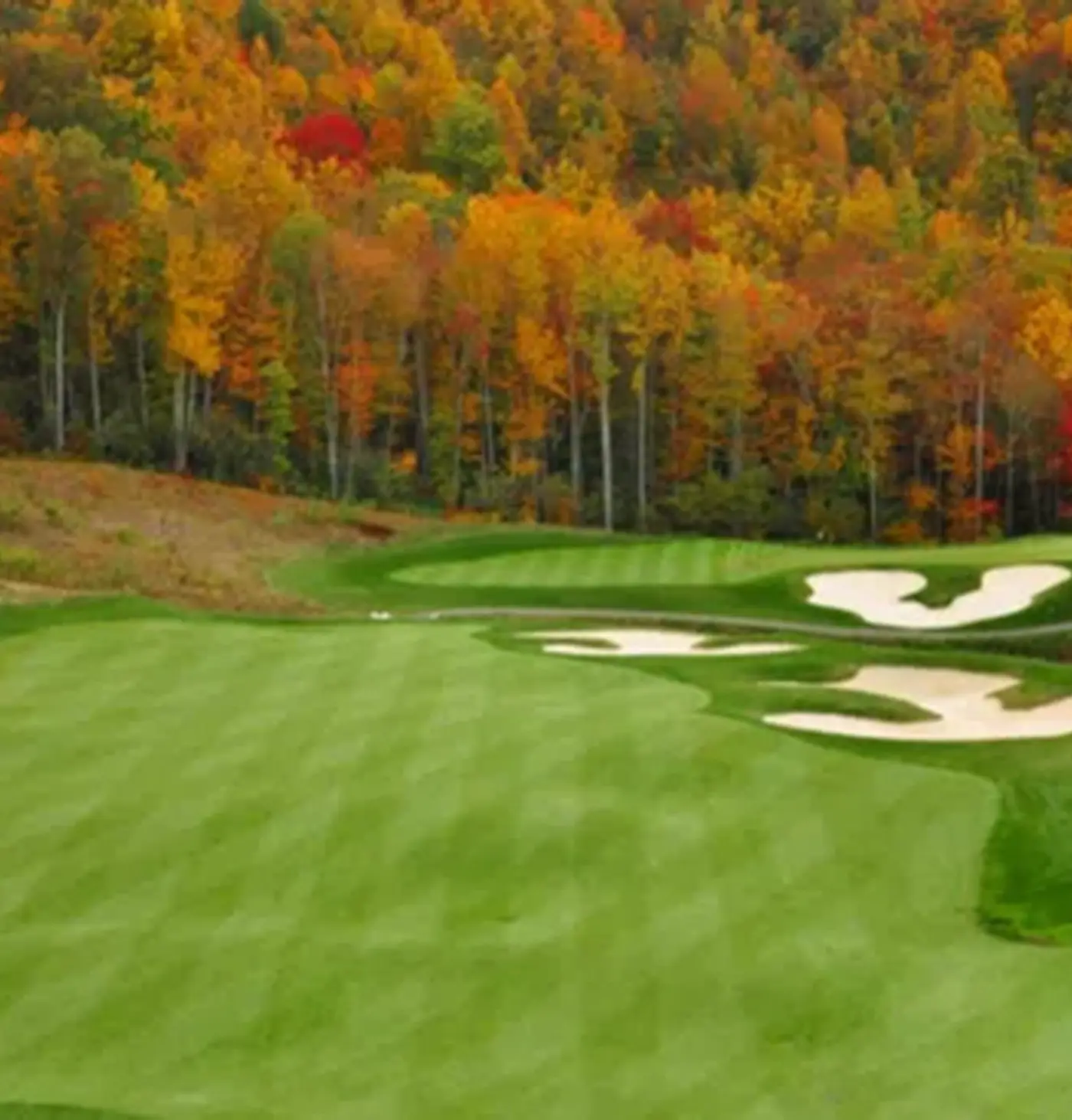 2 Br: Allegheny Springs 201-203