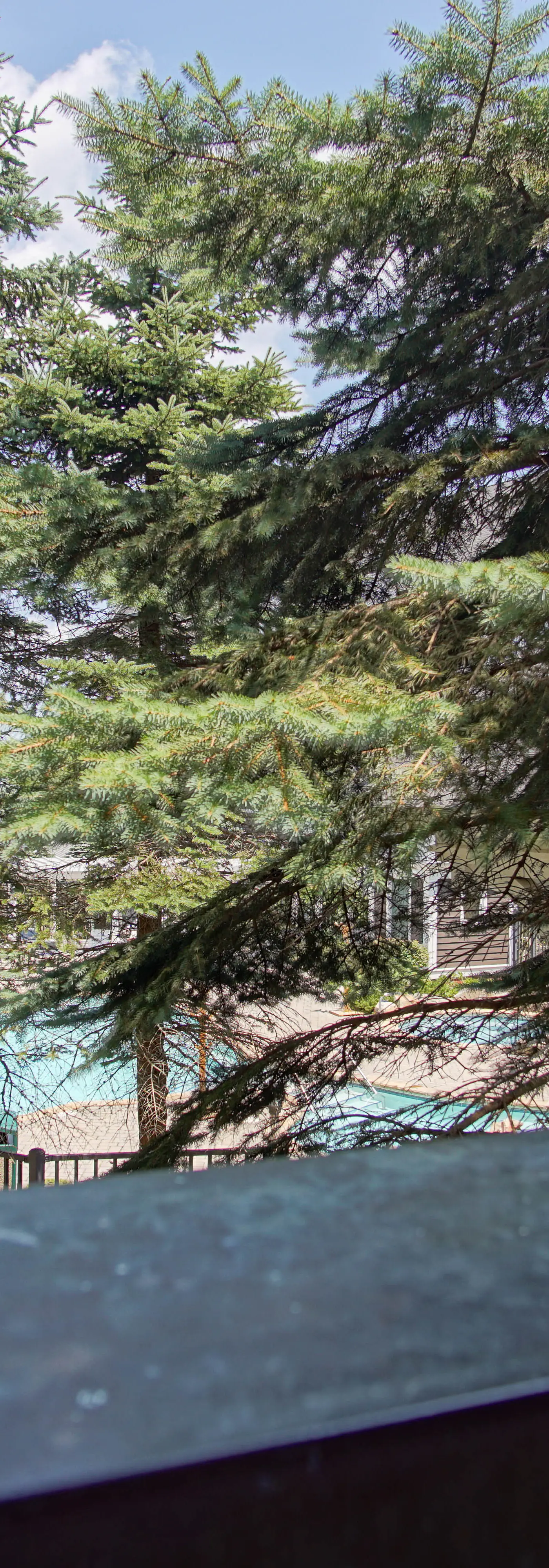 2 Br: Allegheny Springs 201-203