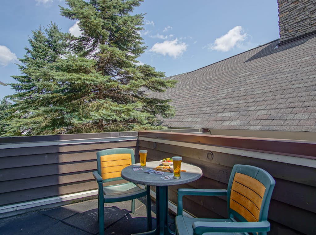 Allegheny Springs  201 : 2 Bedroom, 2 Full Bath: Slope Side; Gas Fireplace