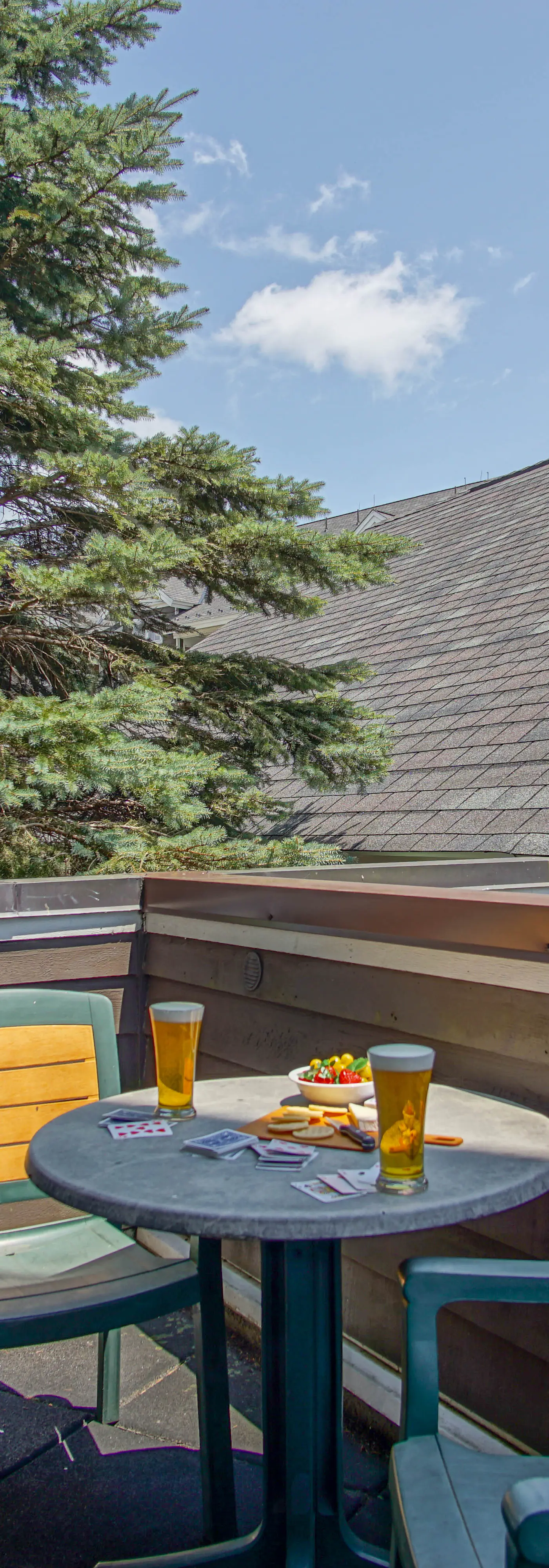 2 Br: Allegheny Springs 201-203