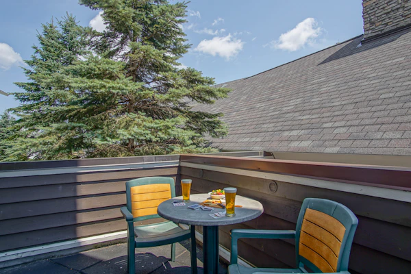 Allegheny Springs 201 : 2 Bedroom, 2 Full Bath: Slope Side; Gas Fireplace