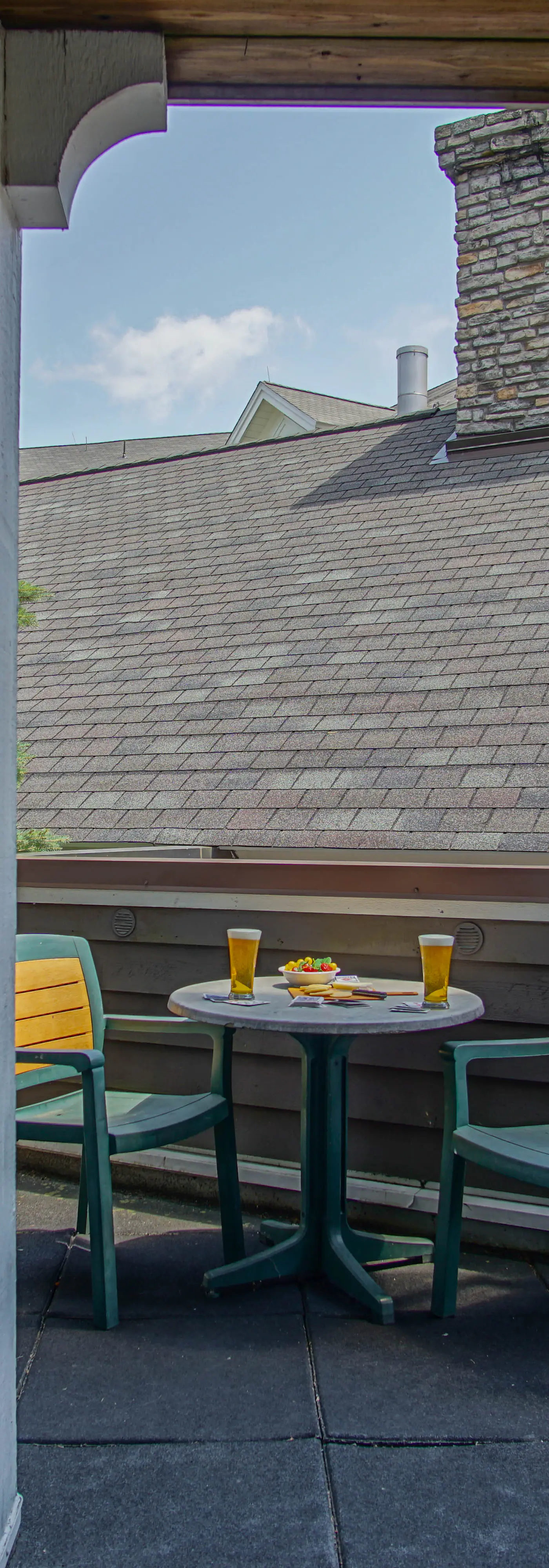 2 Br: Allegheny Springs 201-203