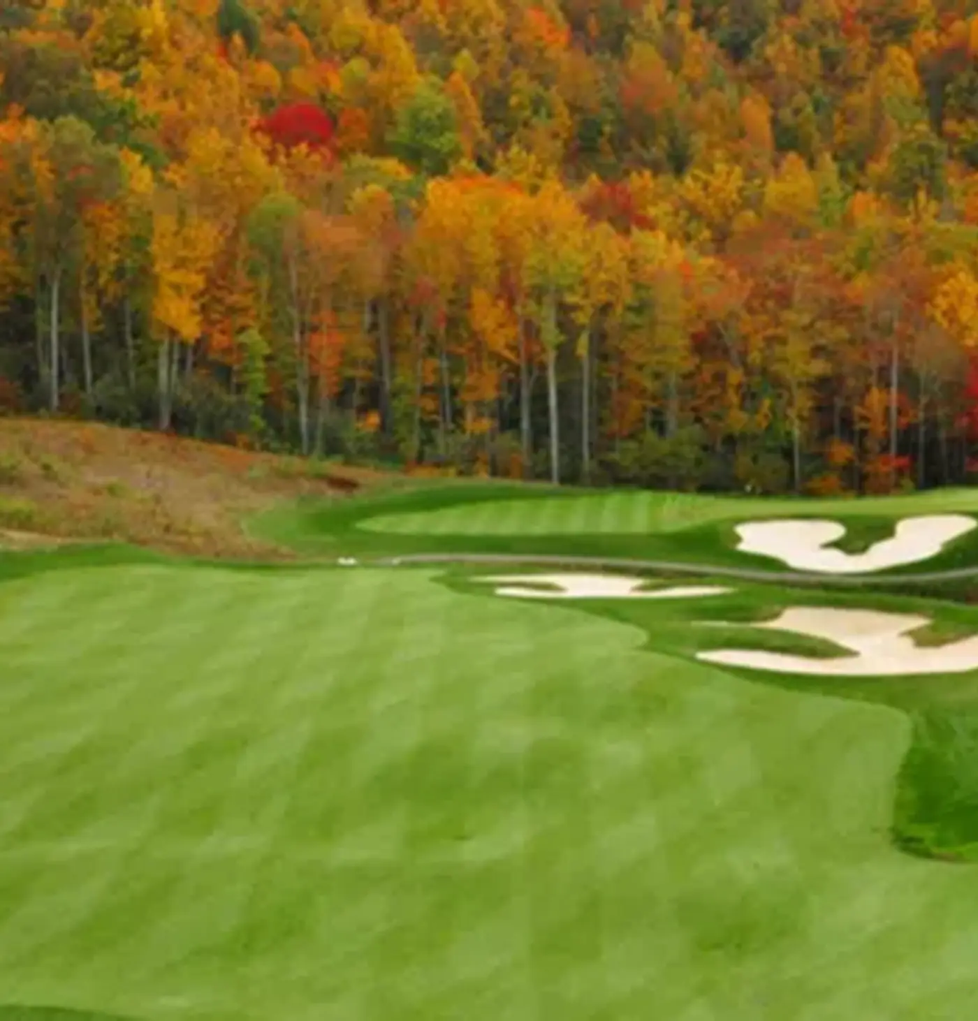 2 Br Plus Den: Allegheny Springs 440