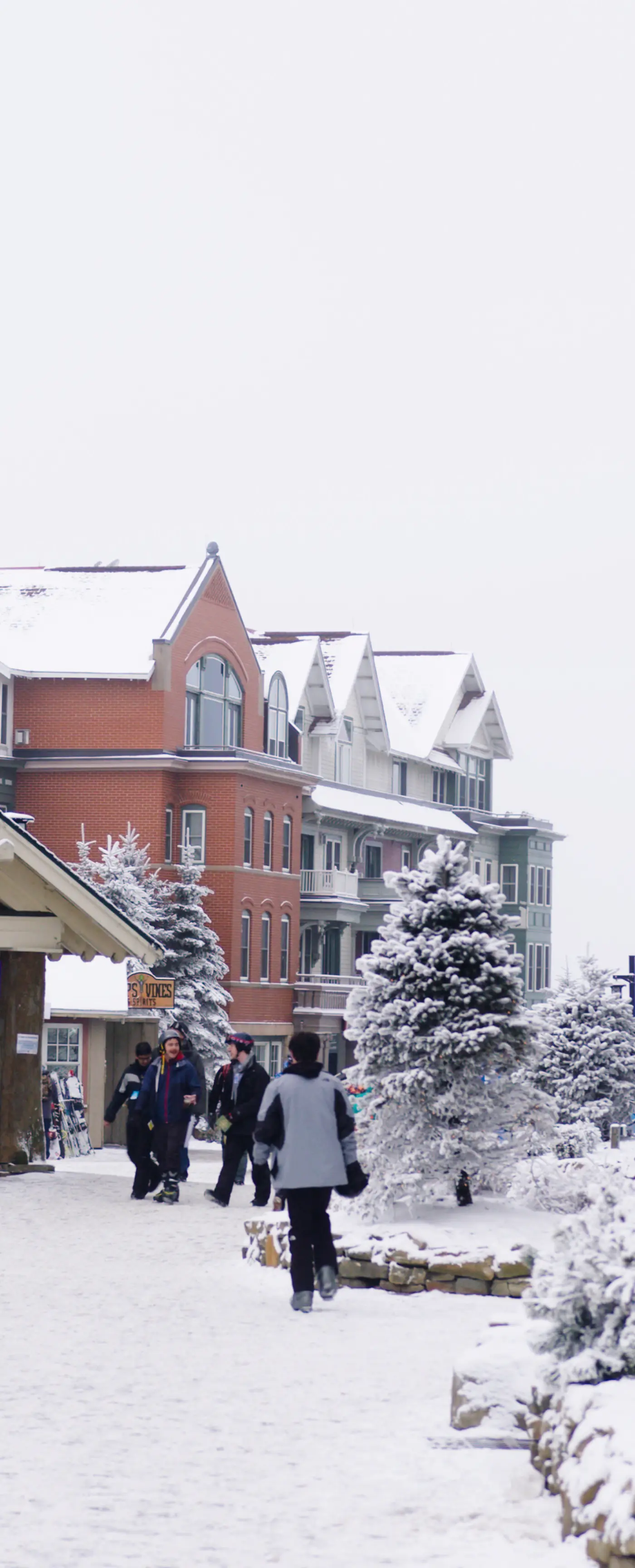 2 Br Plus Den: Allegheny Springs 440