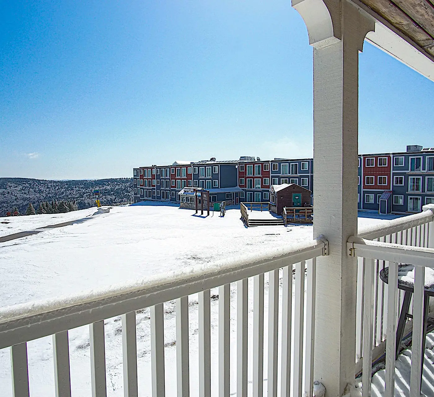 1 Br: Allegheny Springs 238