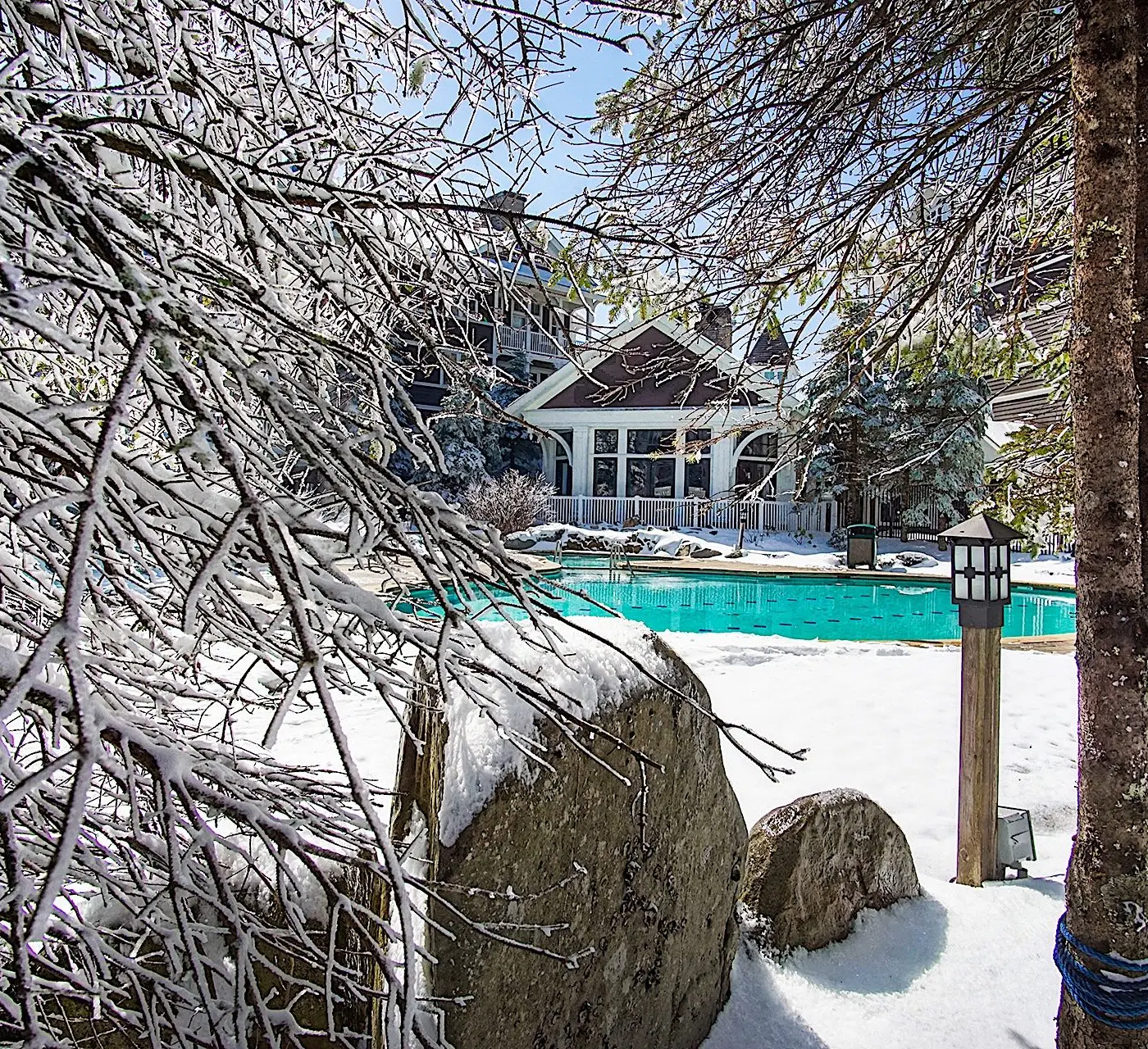 1 Br: Allegheny Springs 238