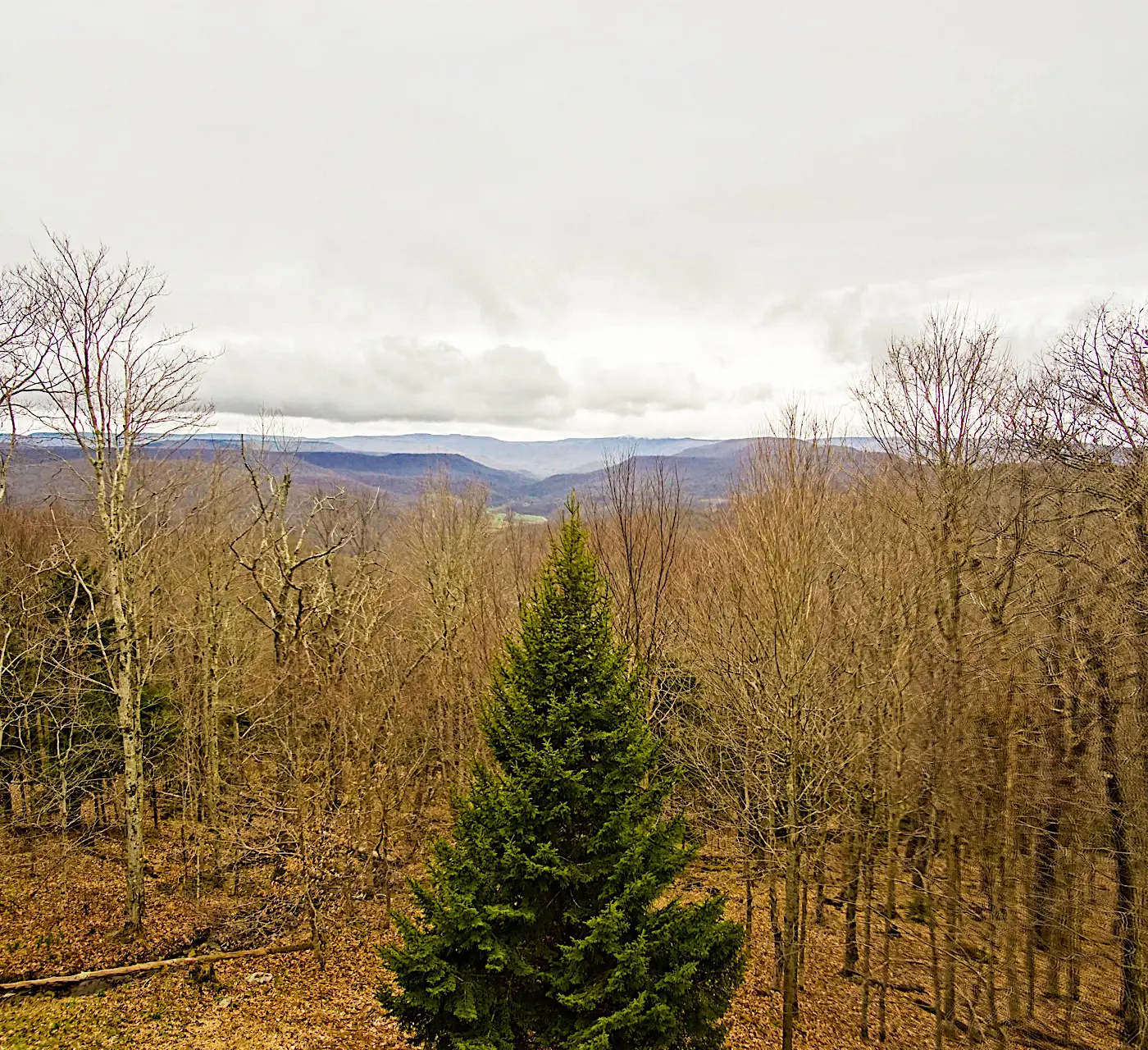 4 Br: N. Westridge Rd. 32