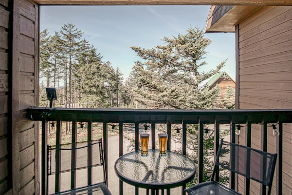 1 Br: Snowcrest 210B: Easy access to Widow Maker Territory