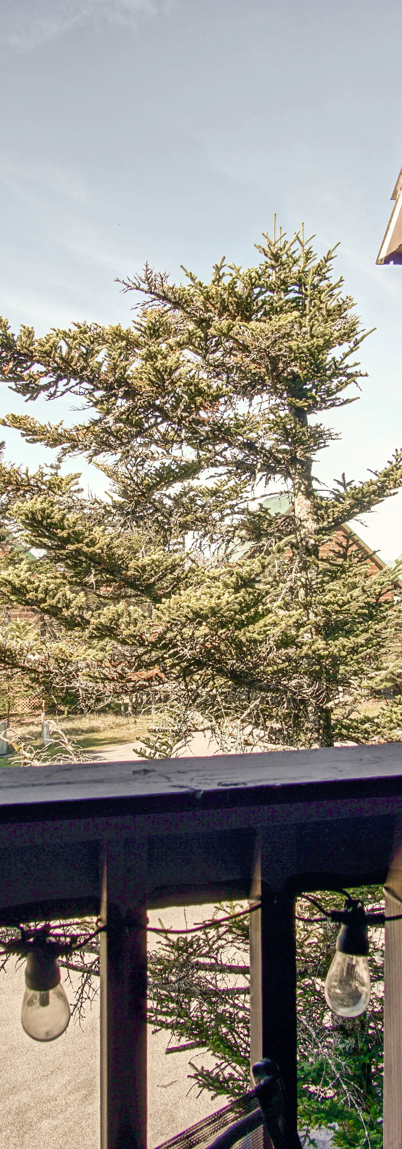 1 Br: Snowcrest 210B