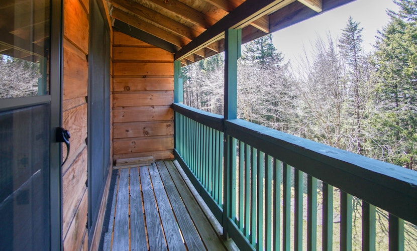 1Br: Studio Loft Ridgewood 59 Wood Fireplace, Washer and Dryer Full Kitchen