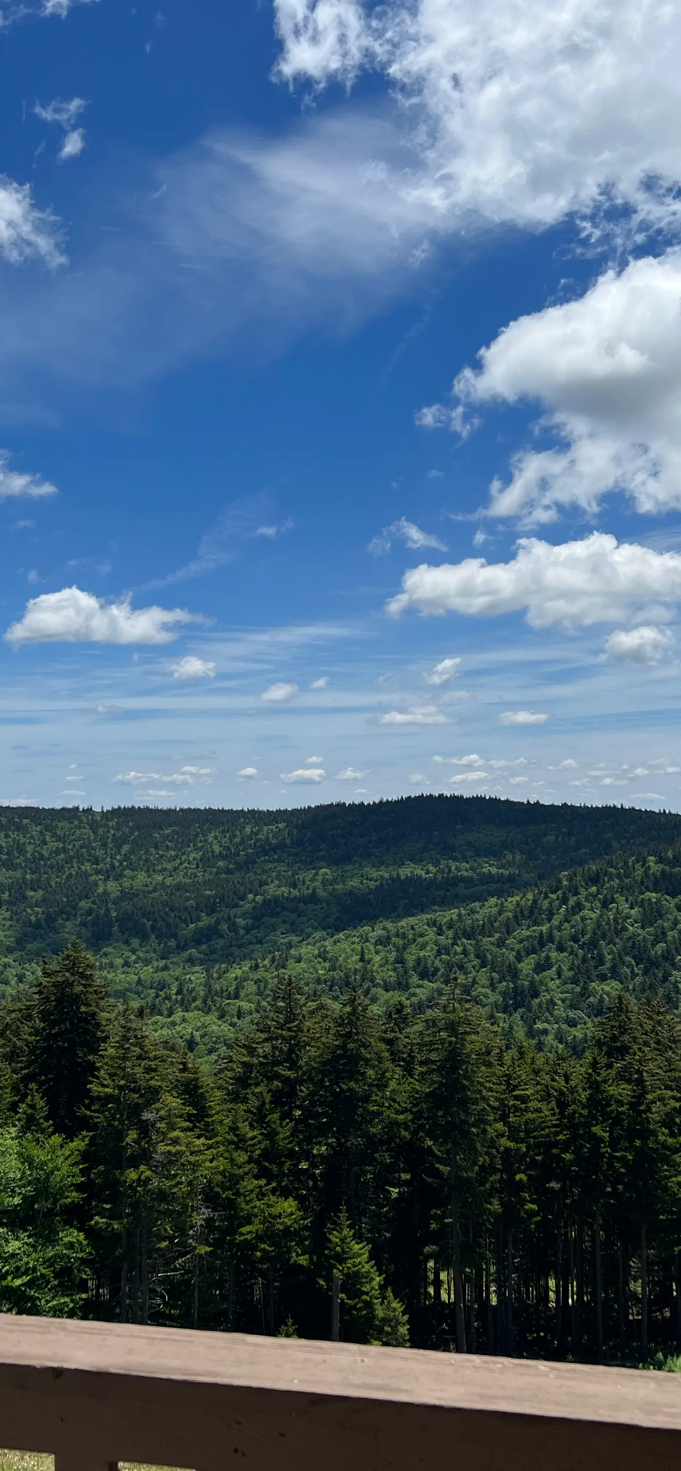 8 Br: Sanctuary Slopeside 1