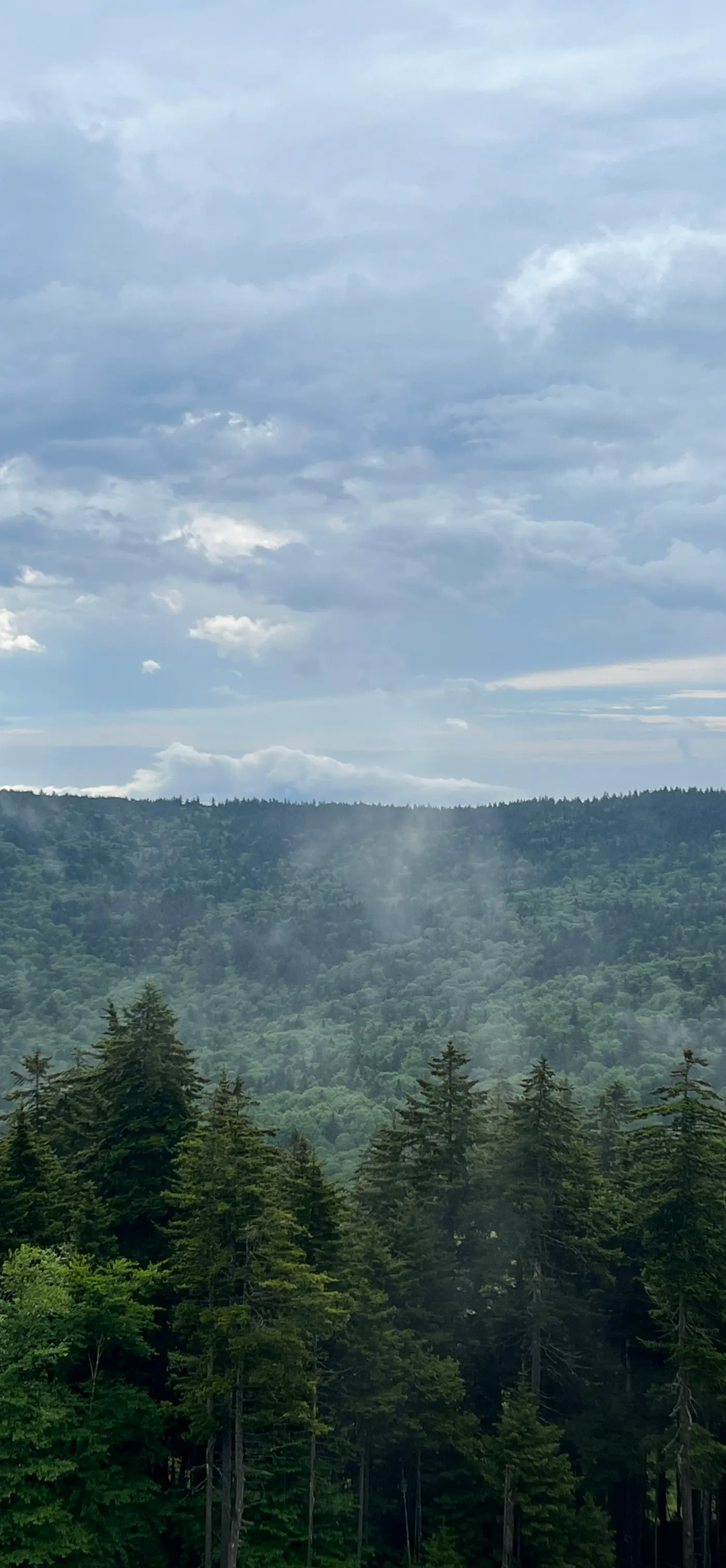 8 Br: Sanctuary Slopeside 1