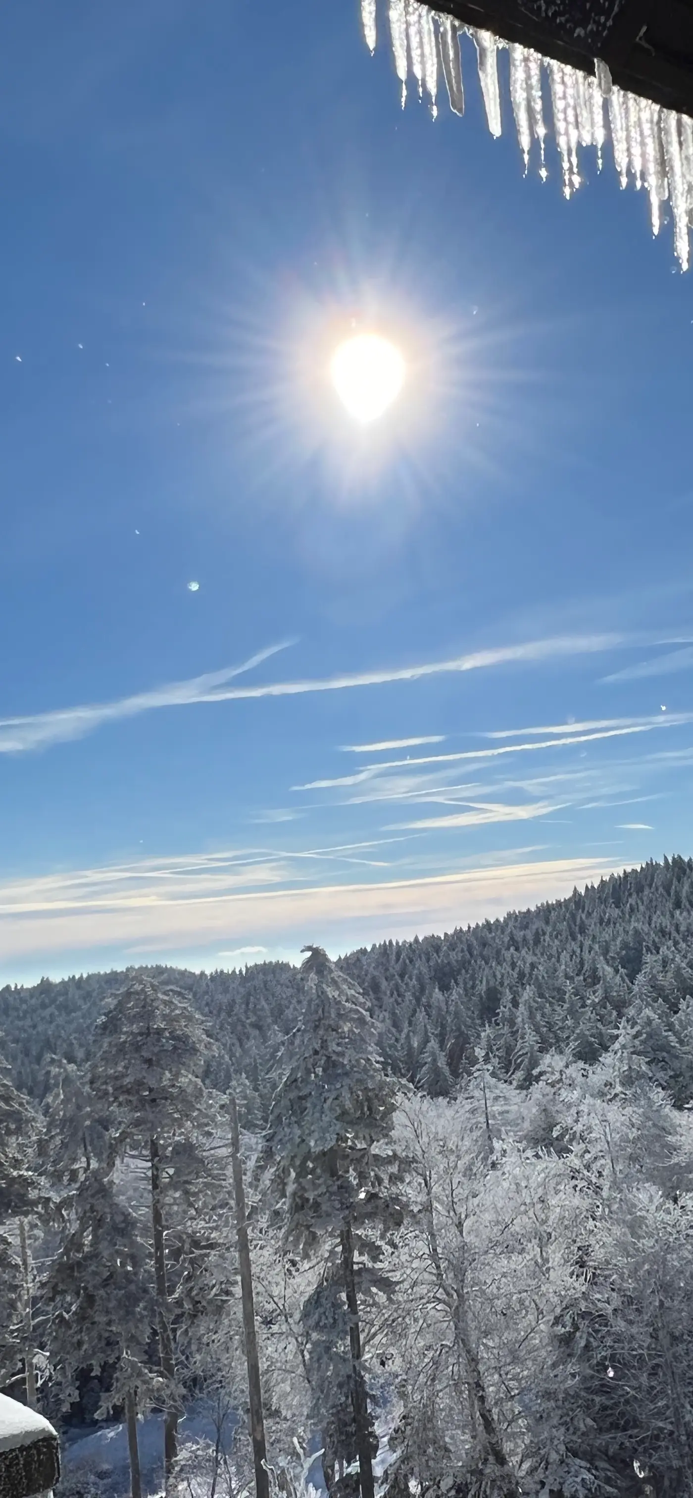 8 Br: Sanctuary Slopeside 1