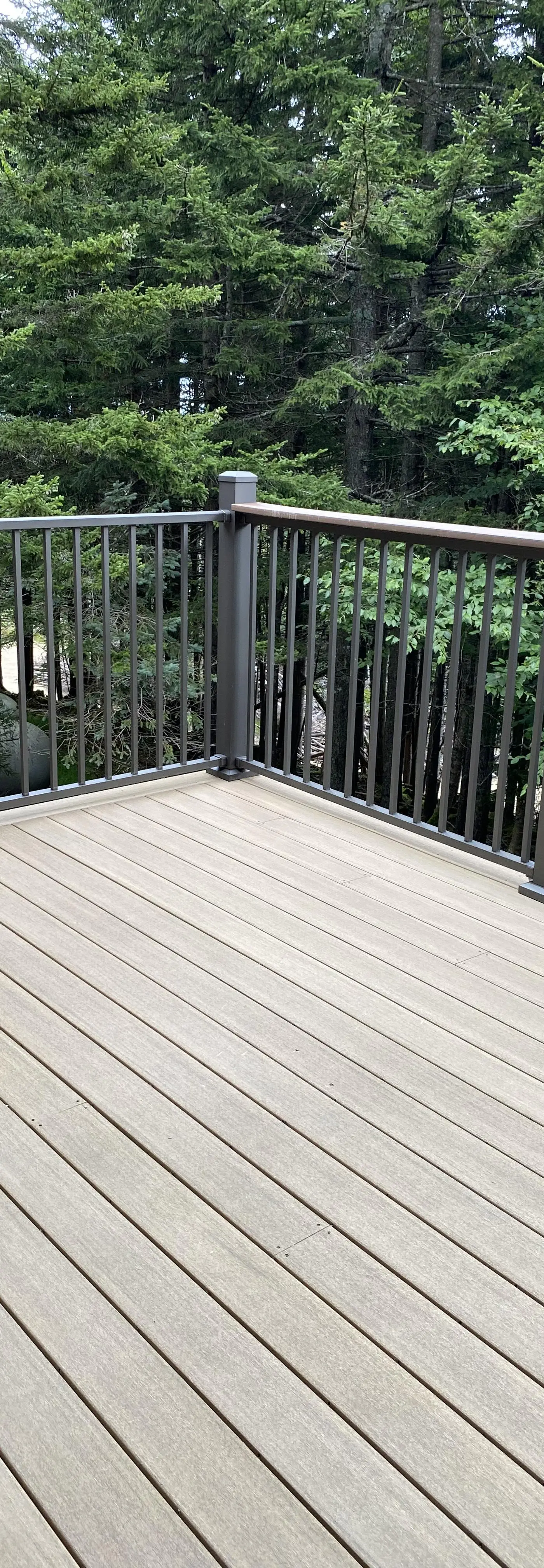 2Br: TreeTop 39