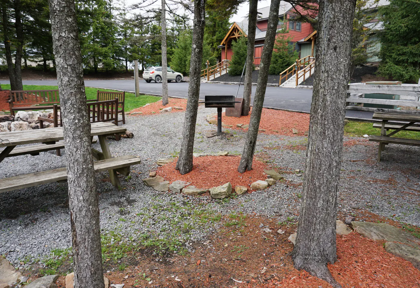 2Br: TreeTop 39