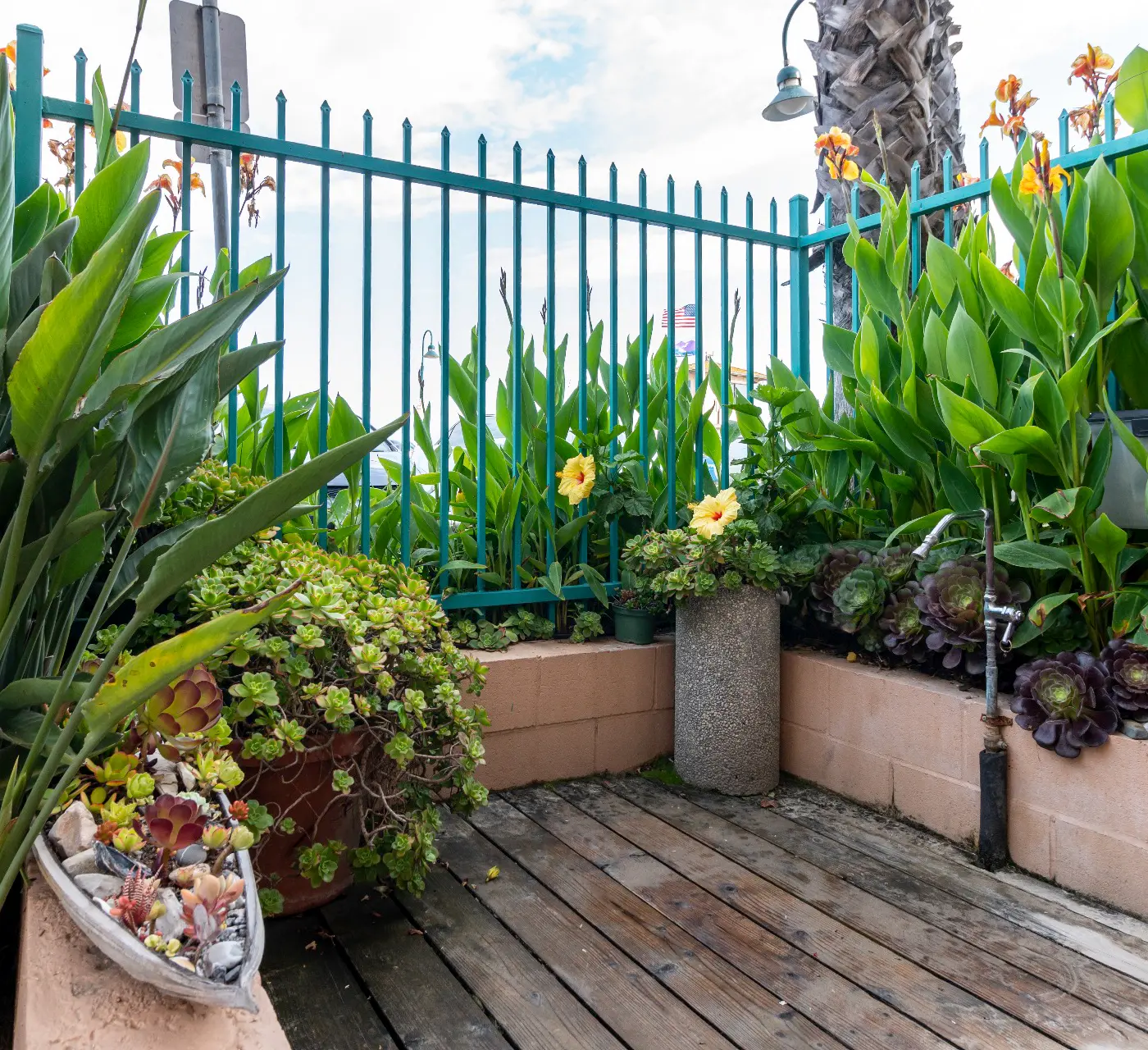 Carpinteria Shores CS 105