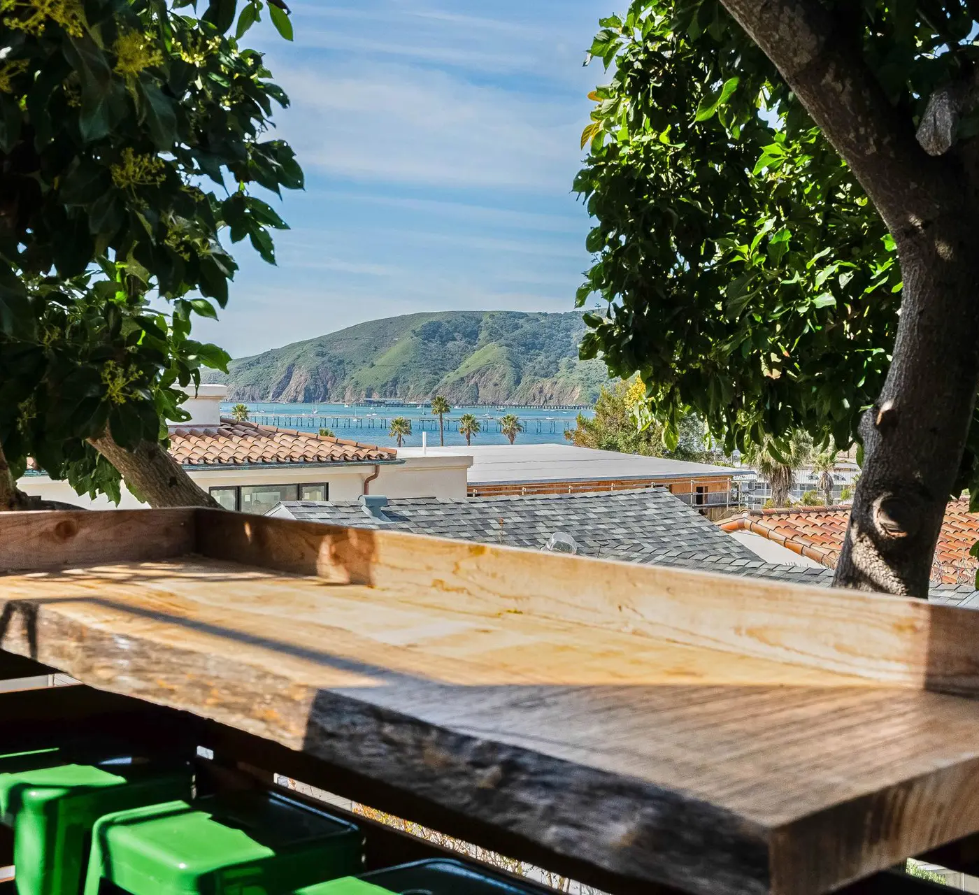 Hang Ten at the Studio