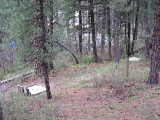 Middlefork River Chalet