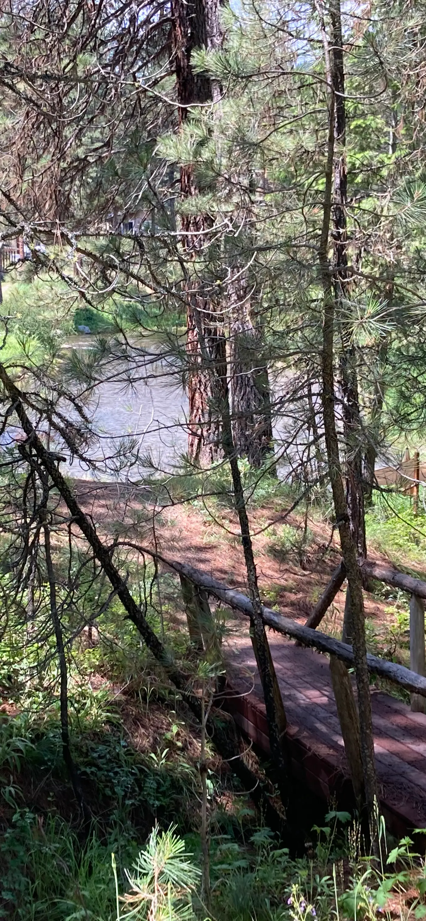Middlefork River Chalet