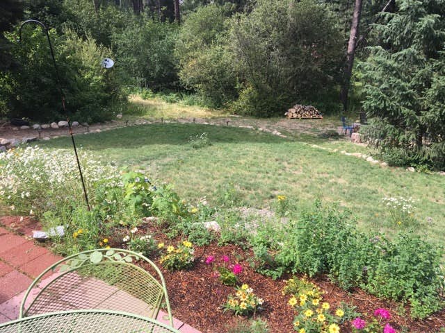 Shadow Pines Cabin (Partially Handicap Accessible)