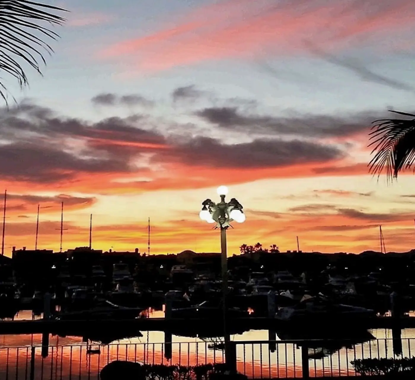 Marina Real Condo 36