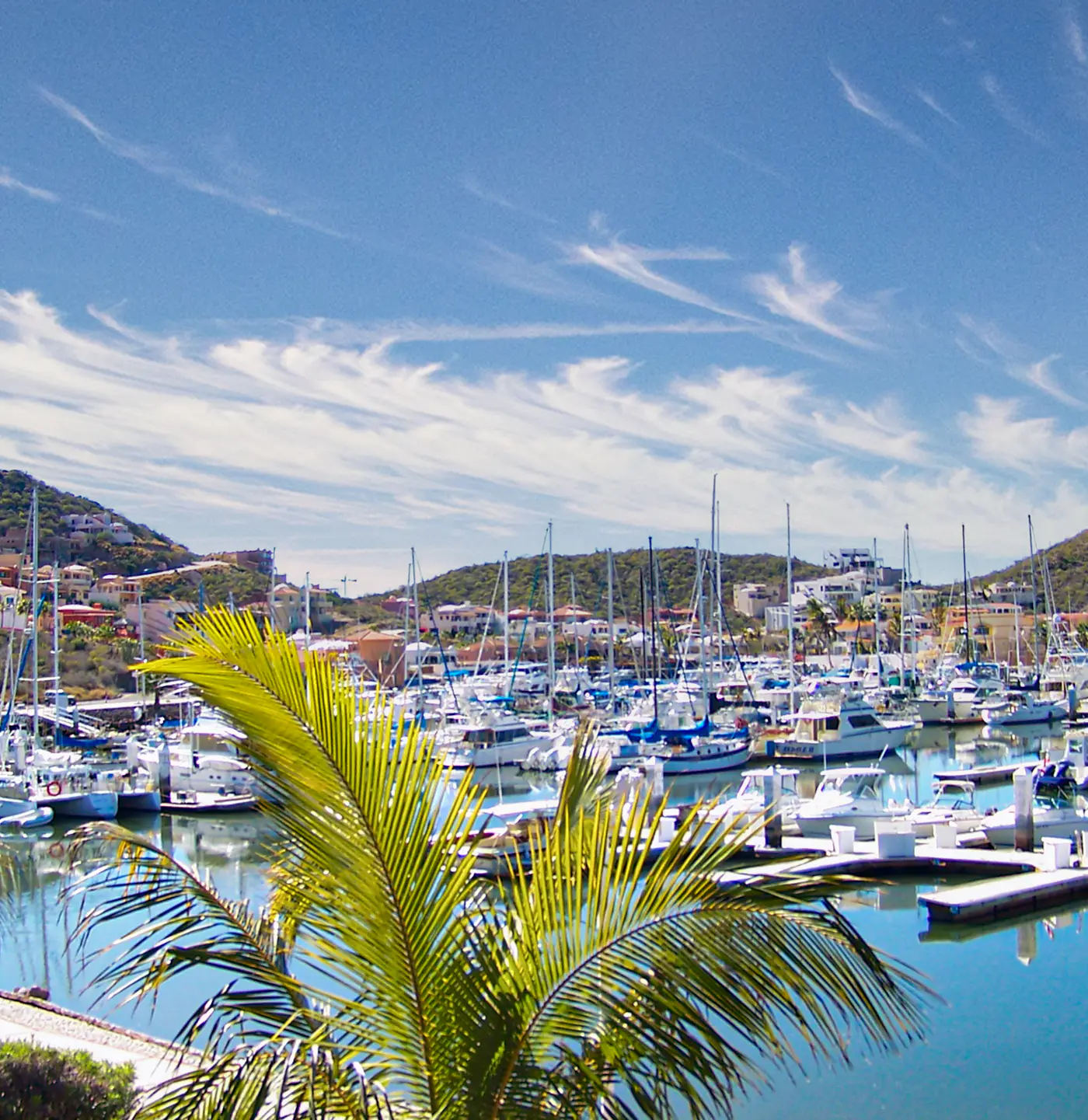 Marina Real Condo 36