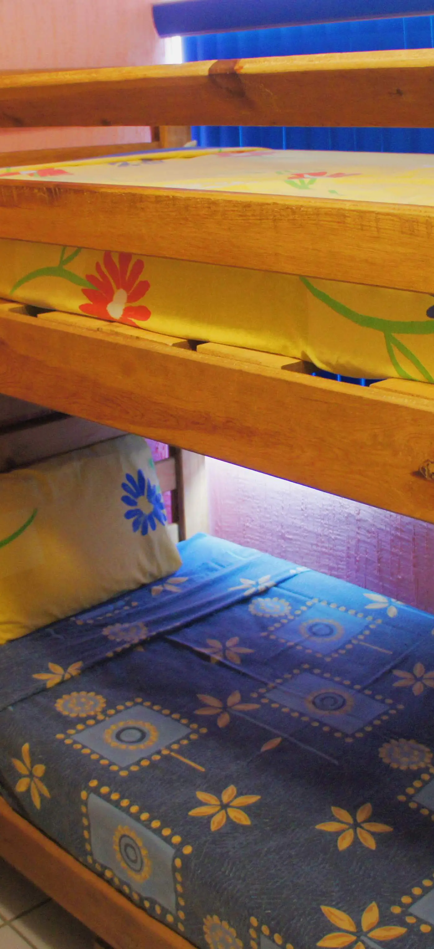 Villas de San Carlos #17