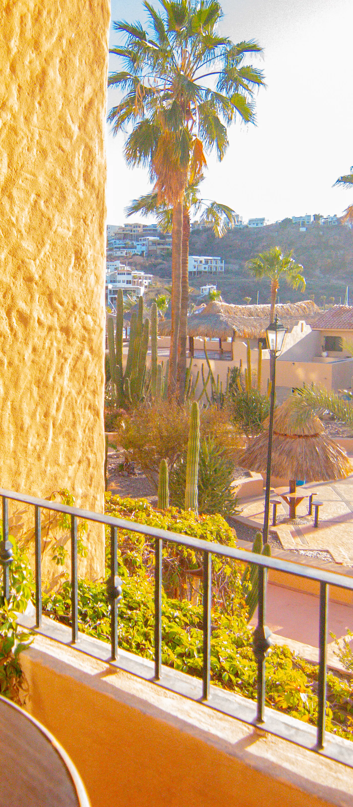 Las Glorias Las Glorias 105