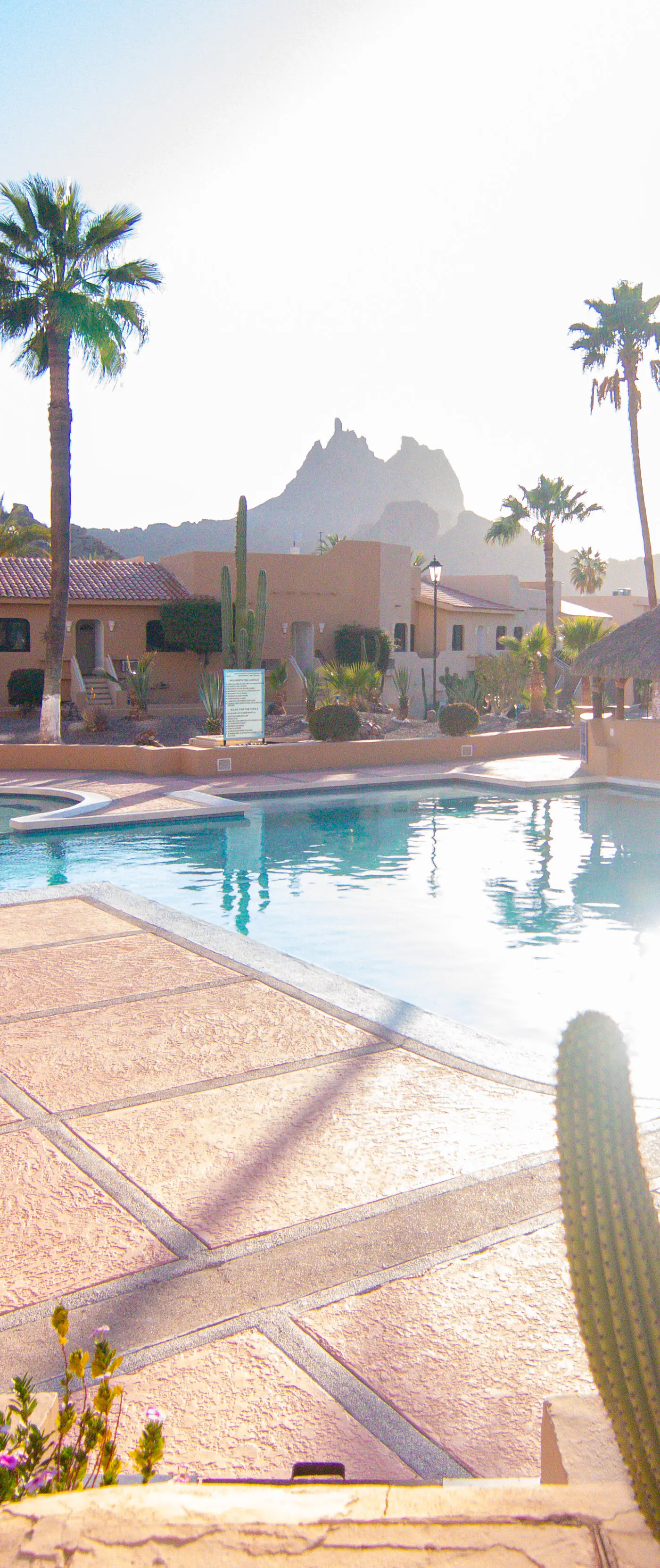 Las Glorias Las Glorias 105