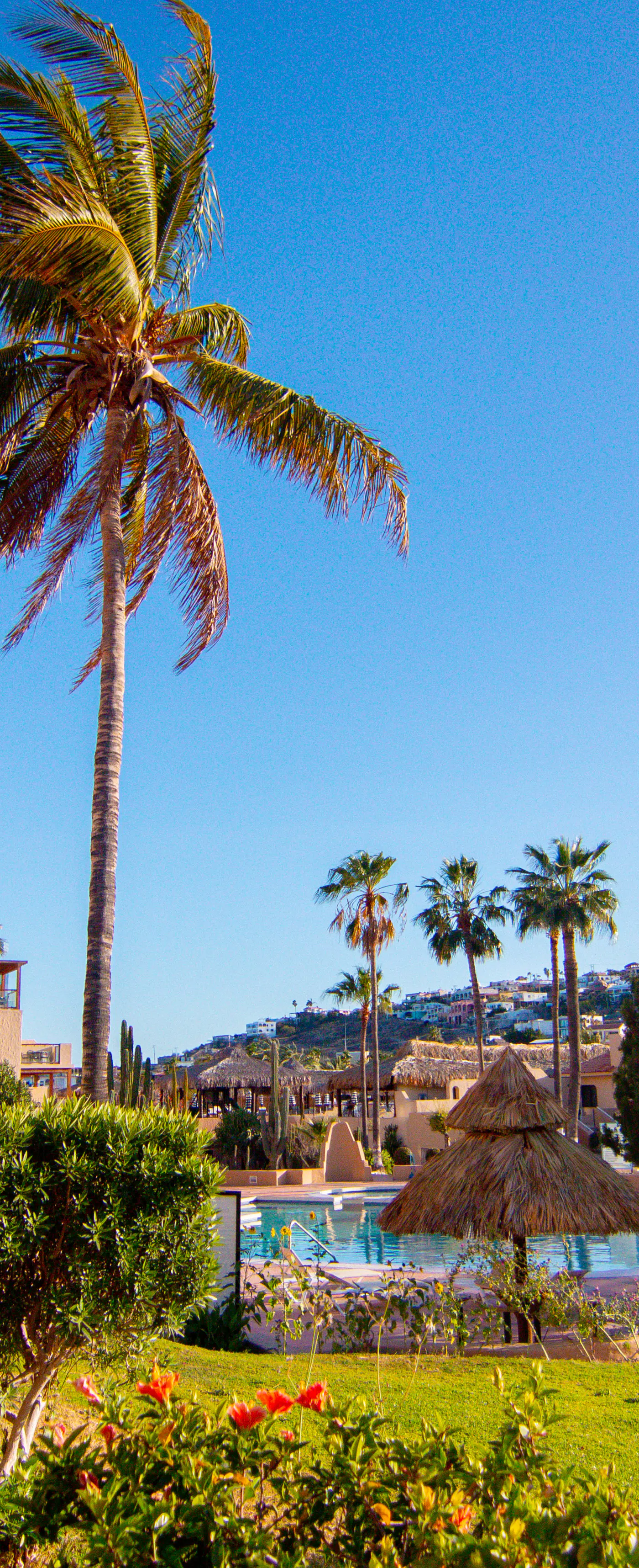 Las Glorias Las Glorias 105