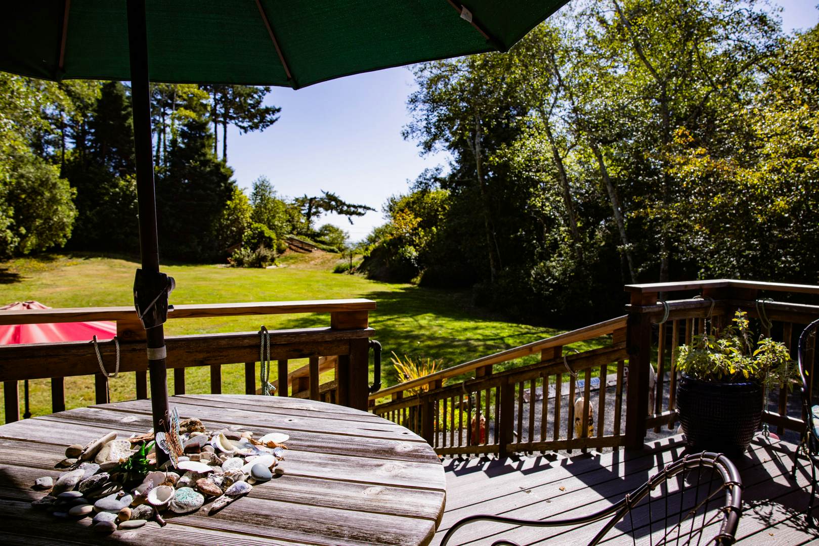 Scotty Point Cabin on the Bluff