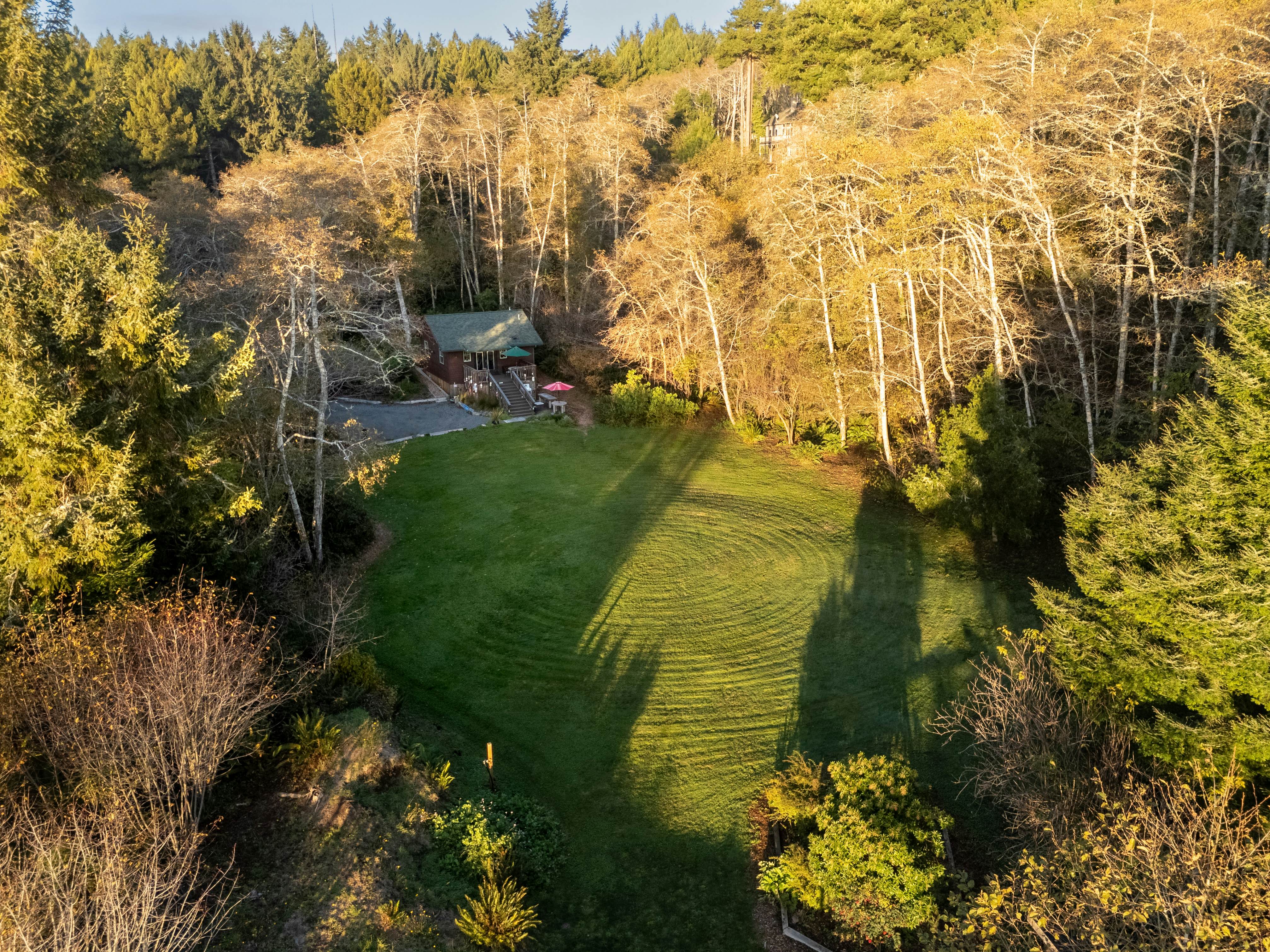 Scotty Point Cabin on the Bluff