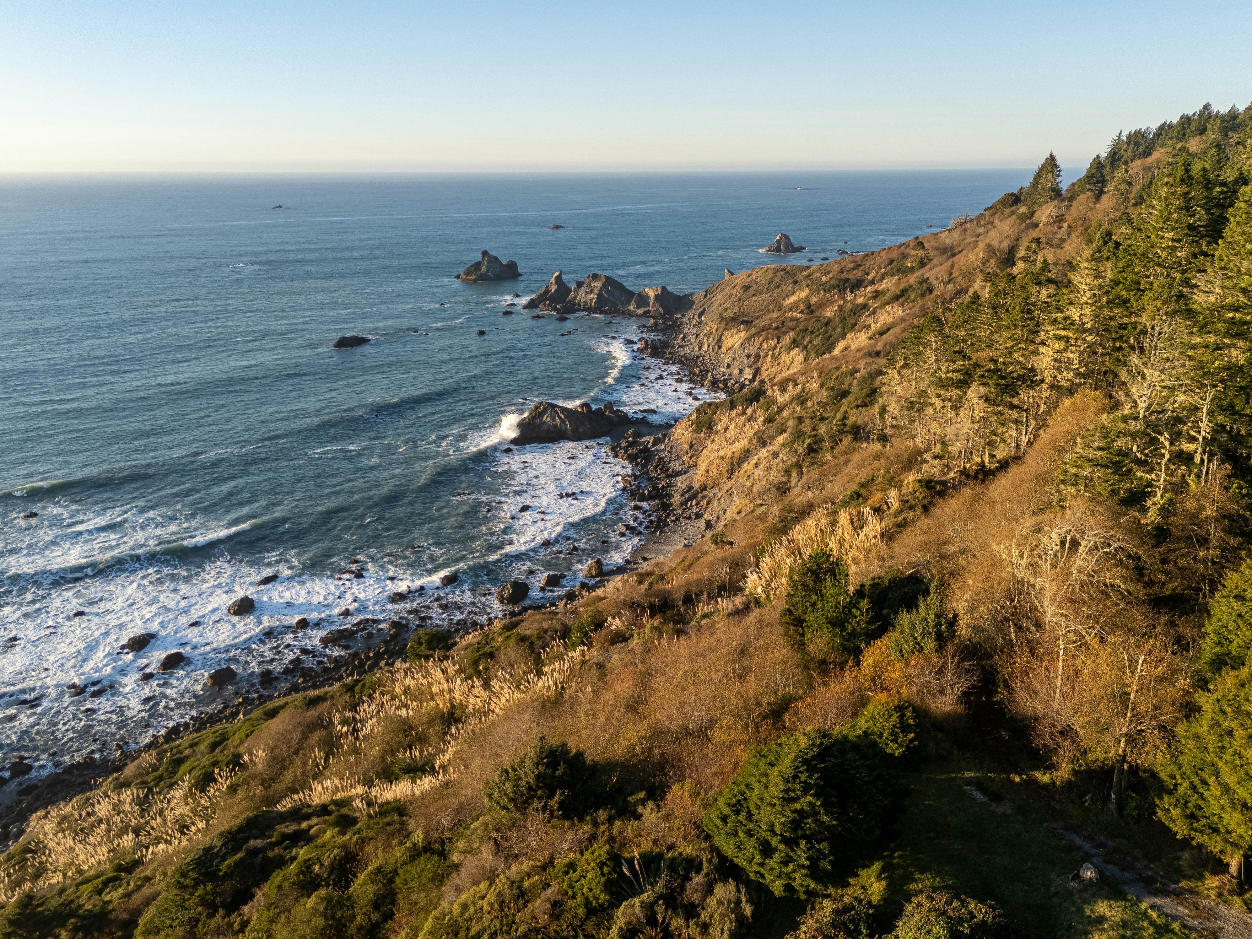 Scotty Point Cabin on the Bluff