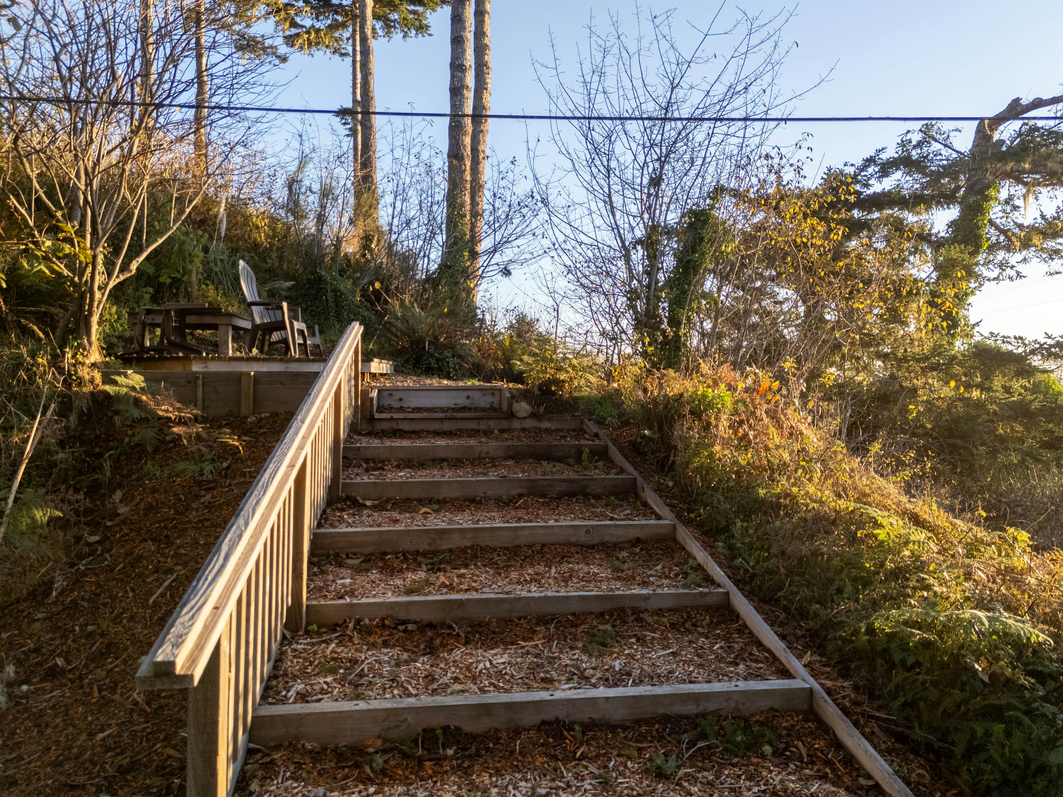 Scotty Point Cabin on the Bluff