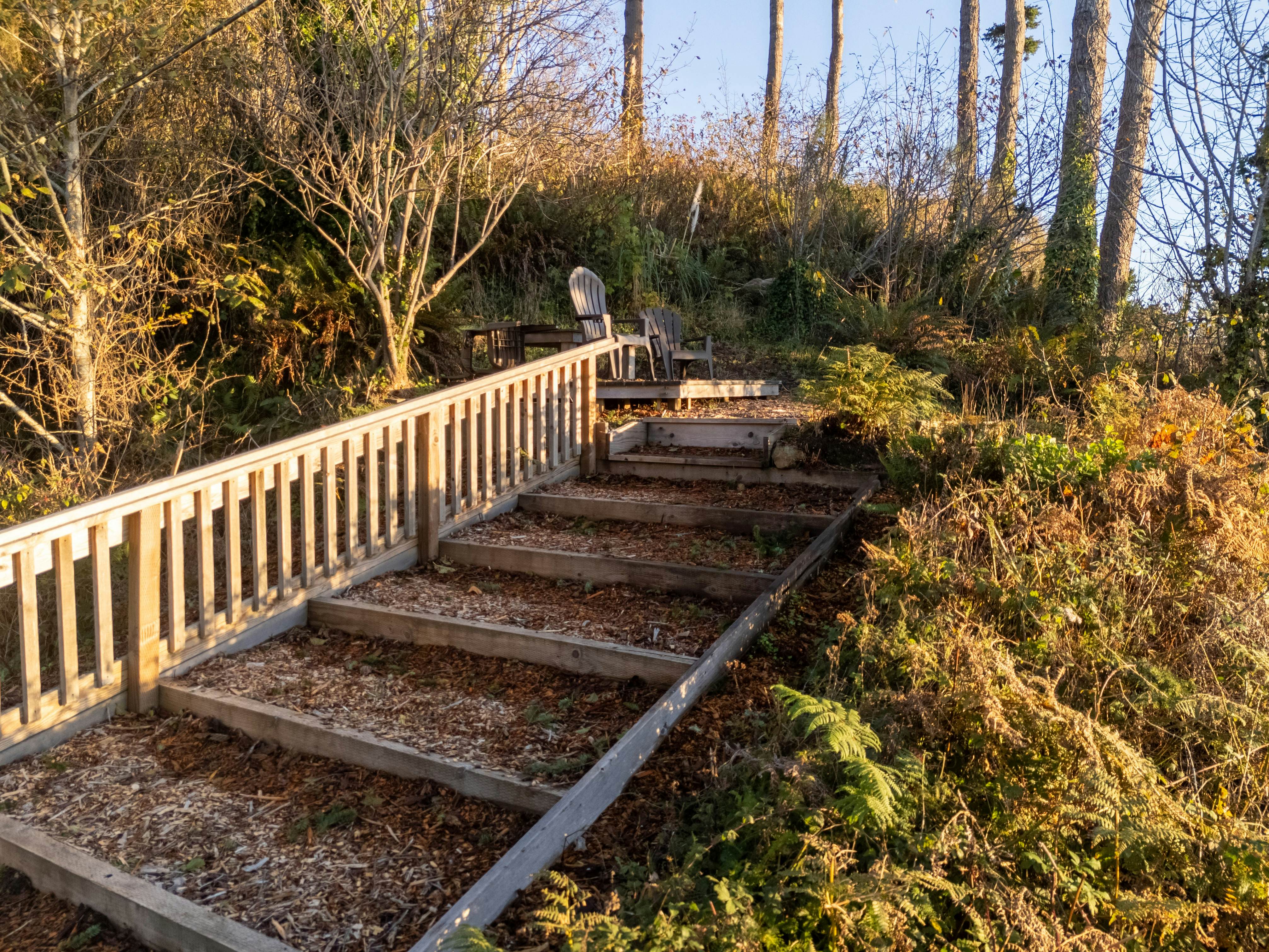 Scotty Point Cabin on the Bluff