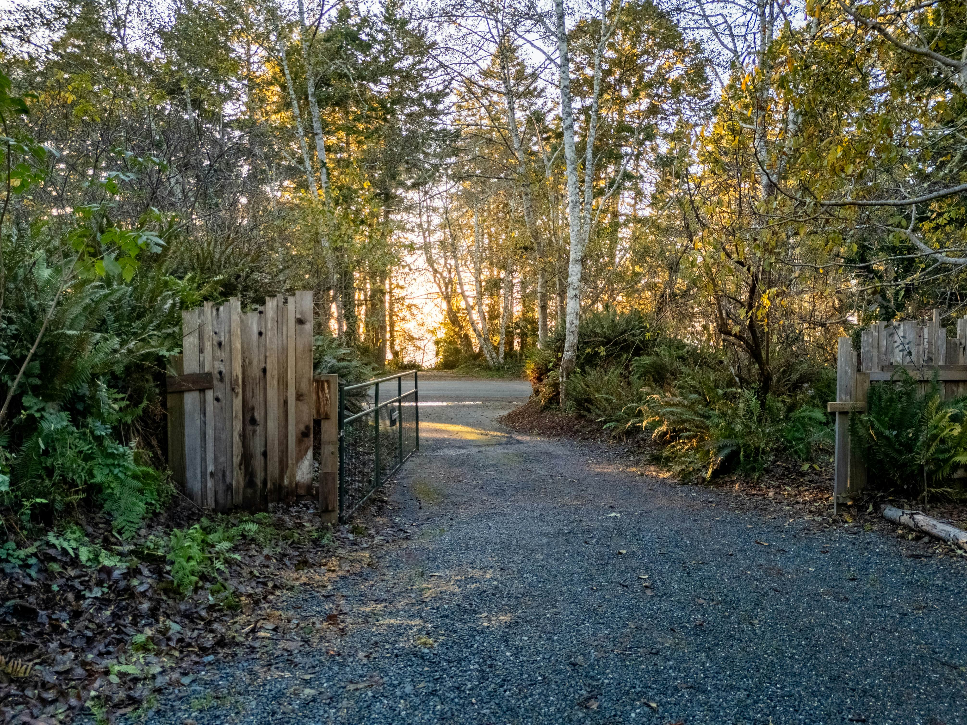 Scotty Point Cabin on the Bluff