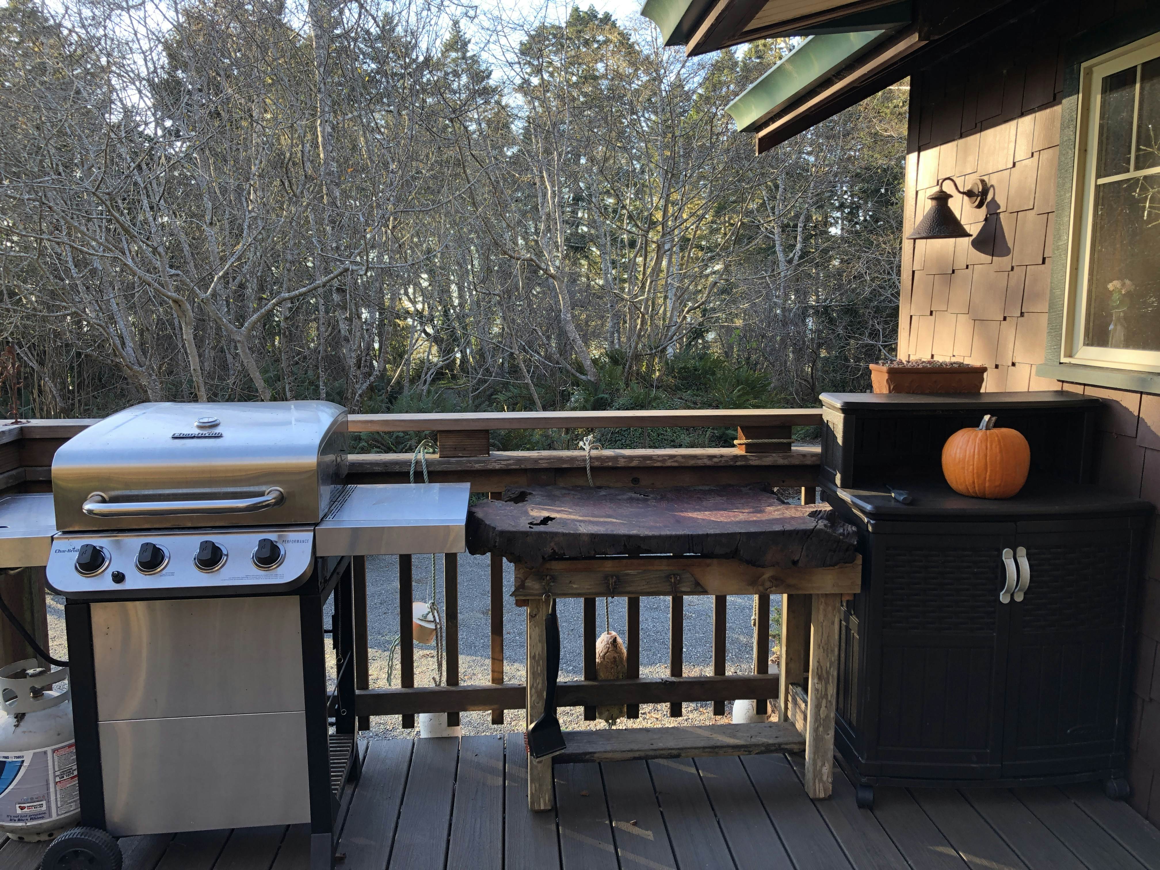Scotty Point Cabin on the Bluff