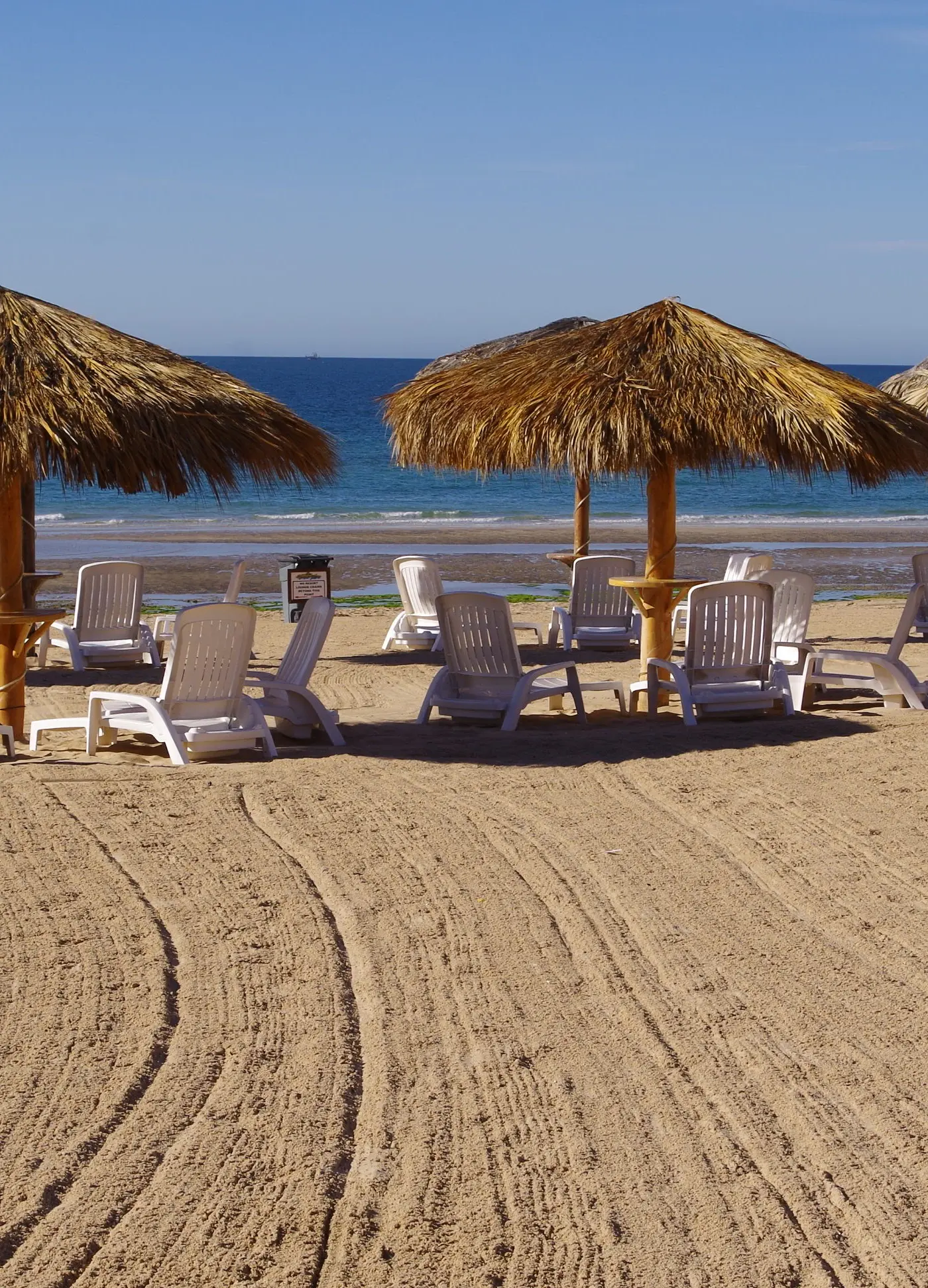 Princesa De Peñasco D 204