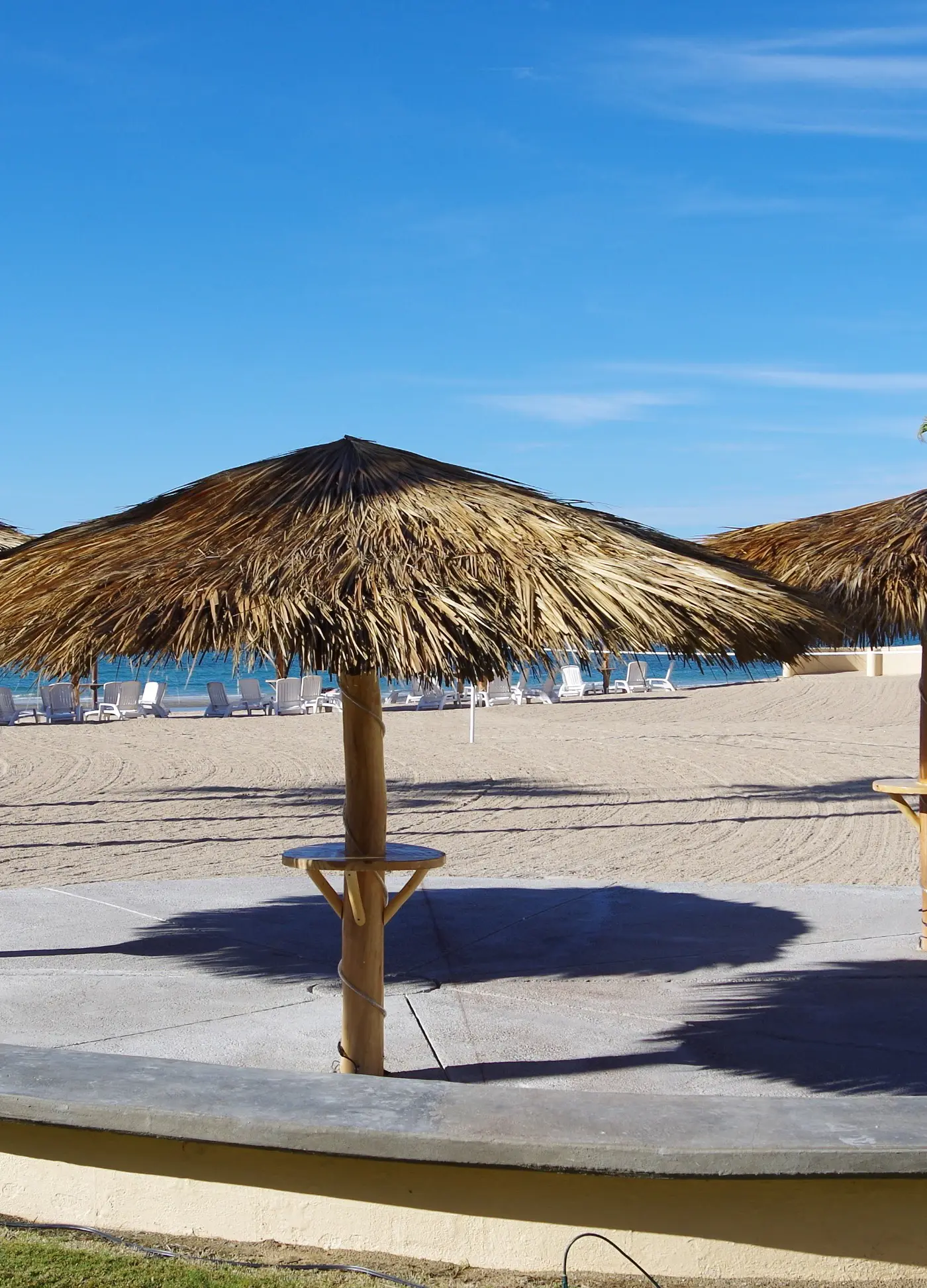 Princesa De Peñasco D 304