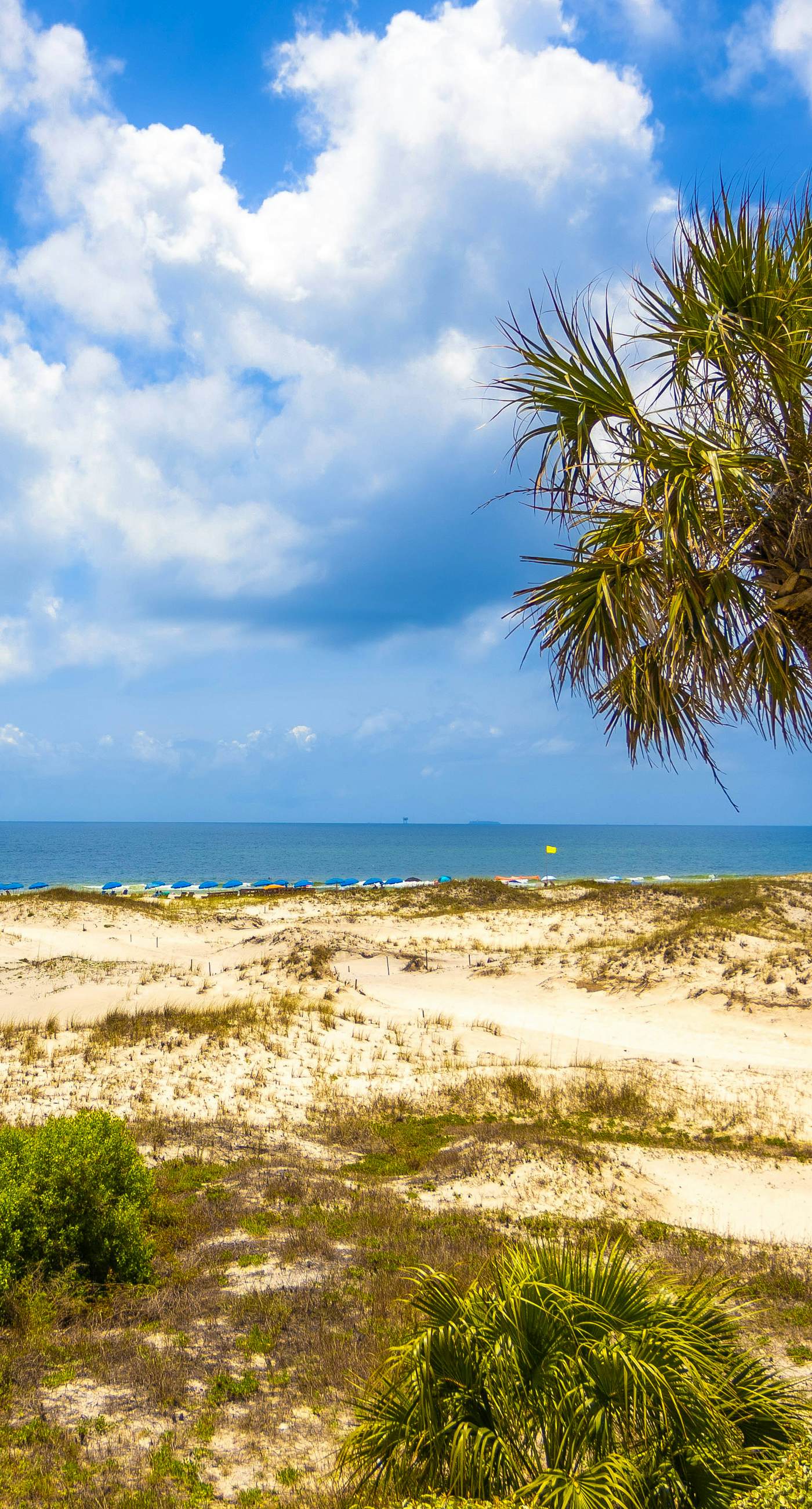 Snowbird-friendly hotel suite with beach access, shared pool and dining