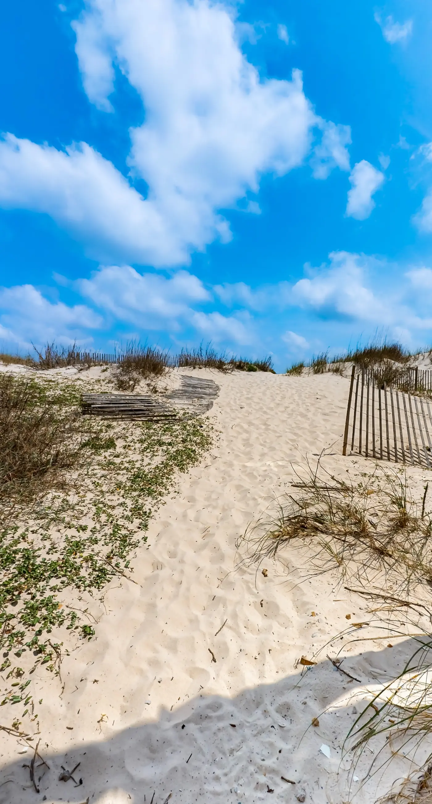 Beachfront Dog-Friendly Home w/Deck, Private Outdoor Pool, A/C, Grill, Free WiFi