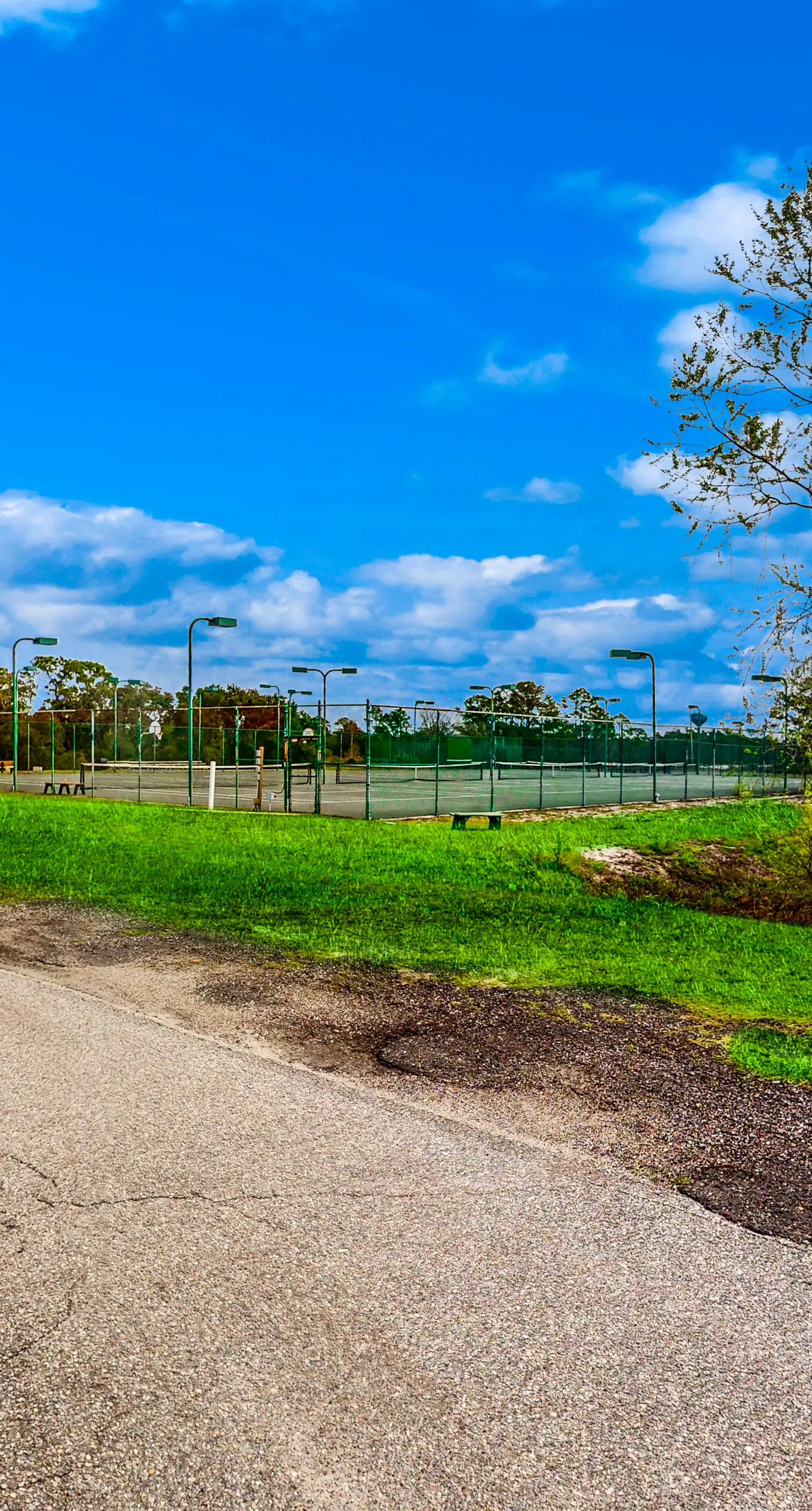Gulf-front condo on the beach with panoramic beach views & pool access